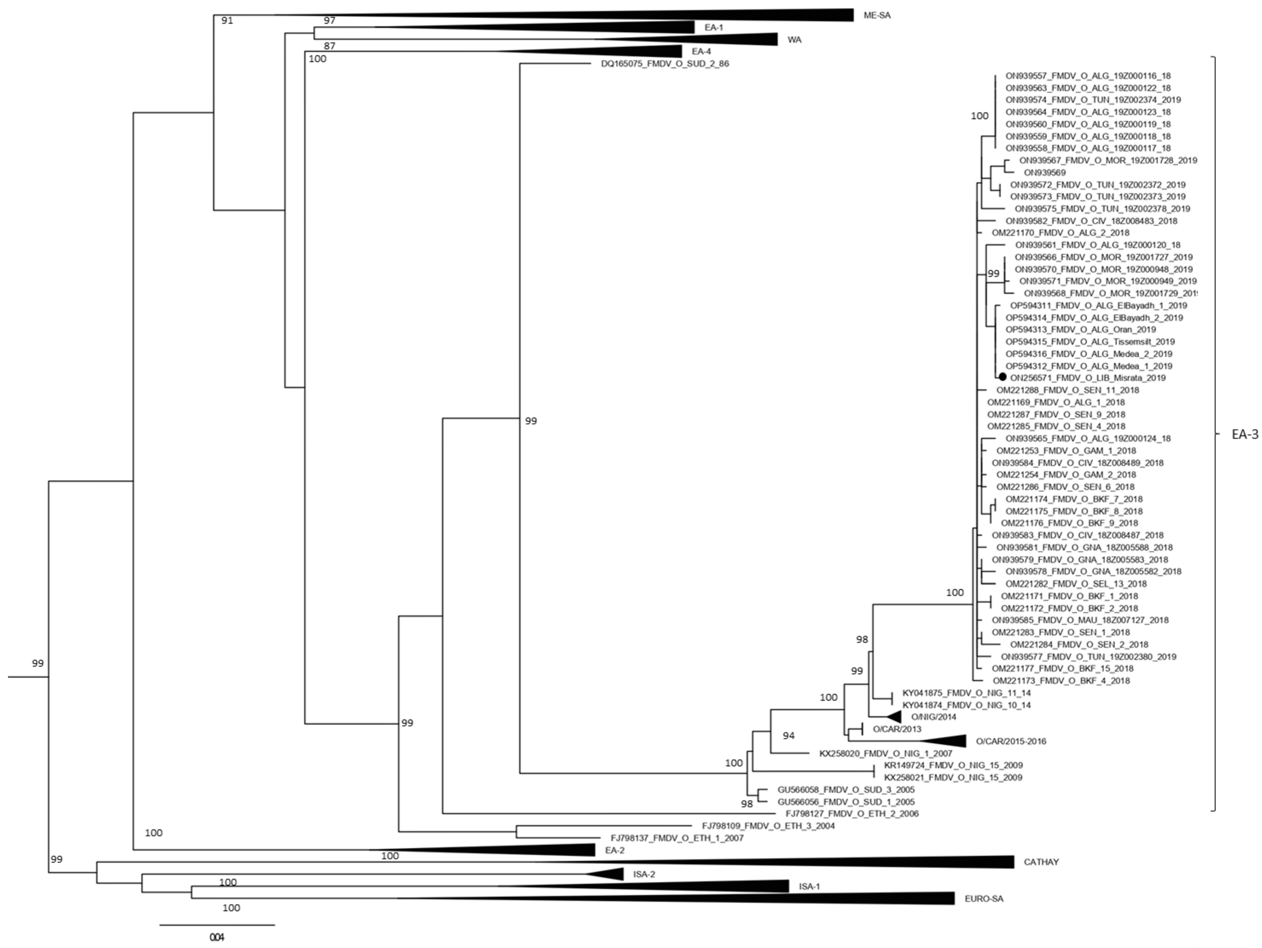 Animals 12 03198 g001