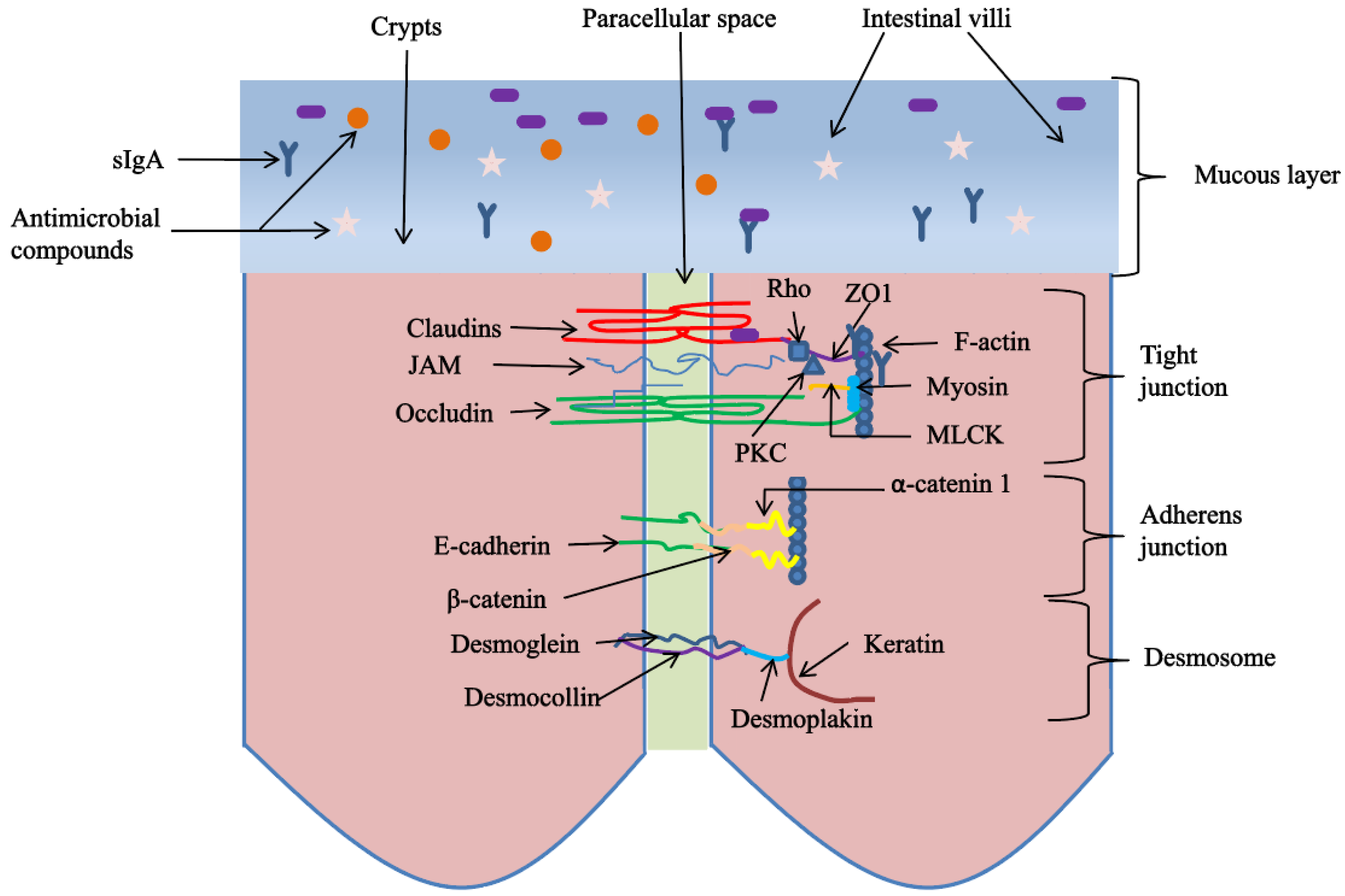 Animals 12 03205 g002 Animals 12 03205 g002