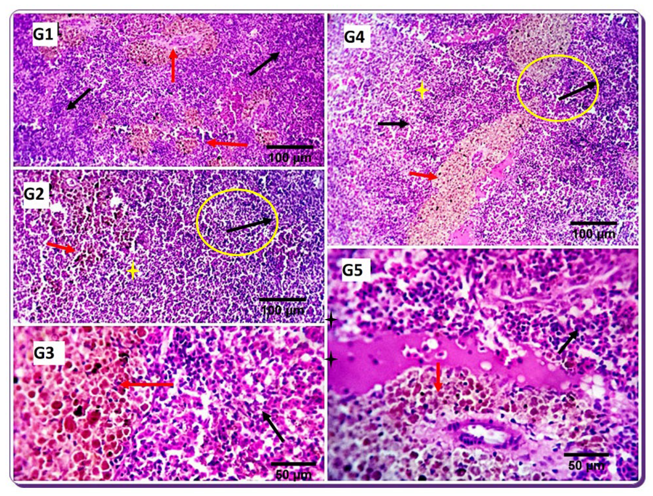 Animals 12 03206 g005