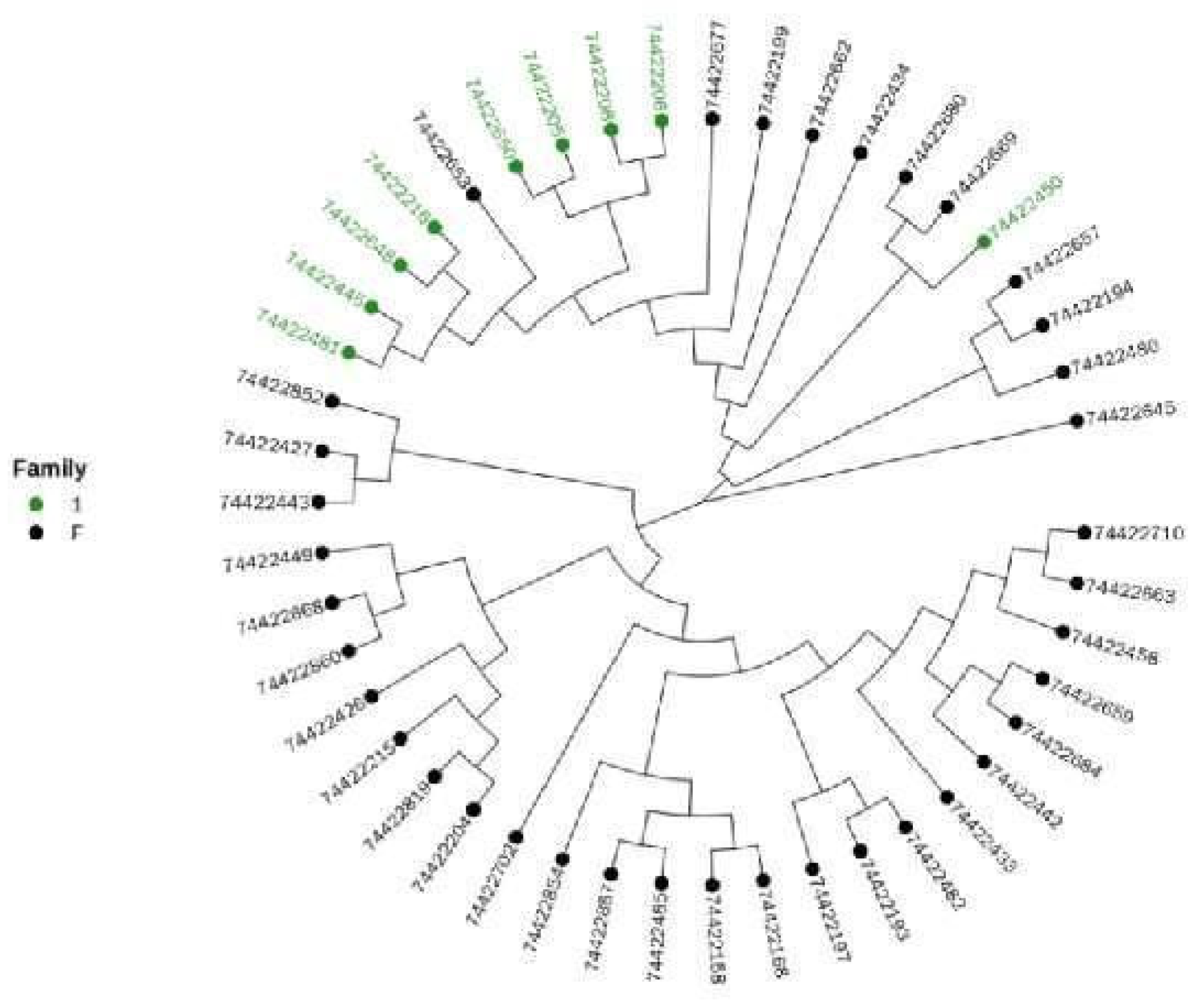 Animals 12 03214 g010 Animals 12 03214 g010