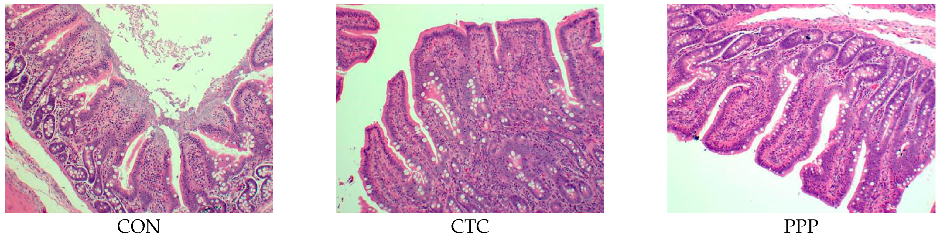 Animals 12 03216 g001