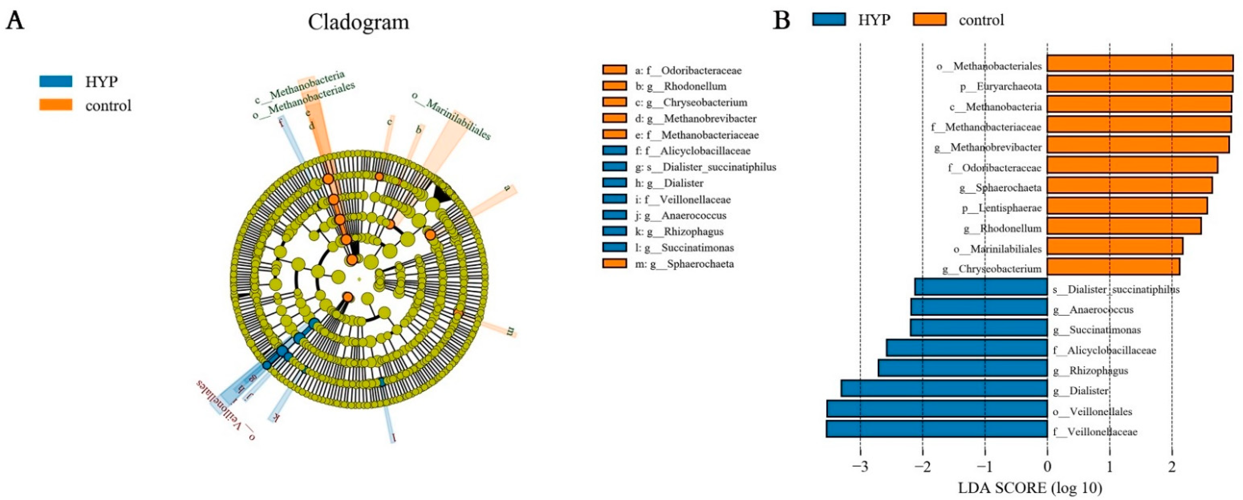 Animals 12 03221 g002