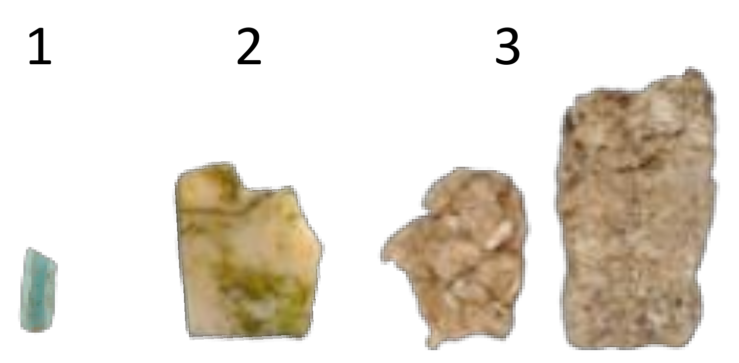 Animals 12 03222 g003