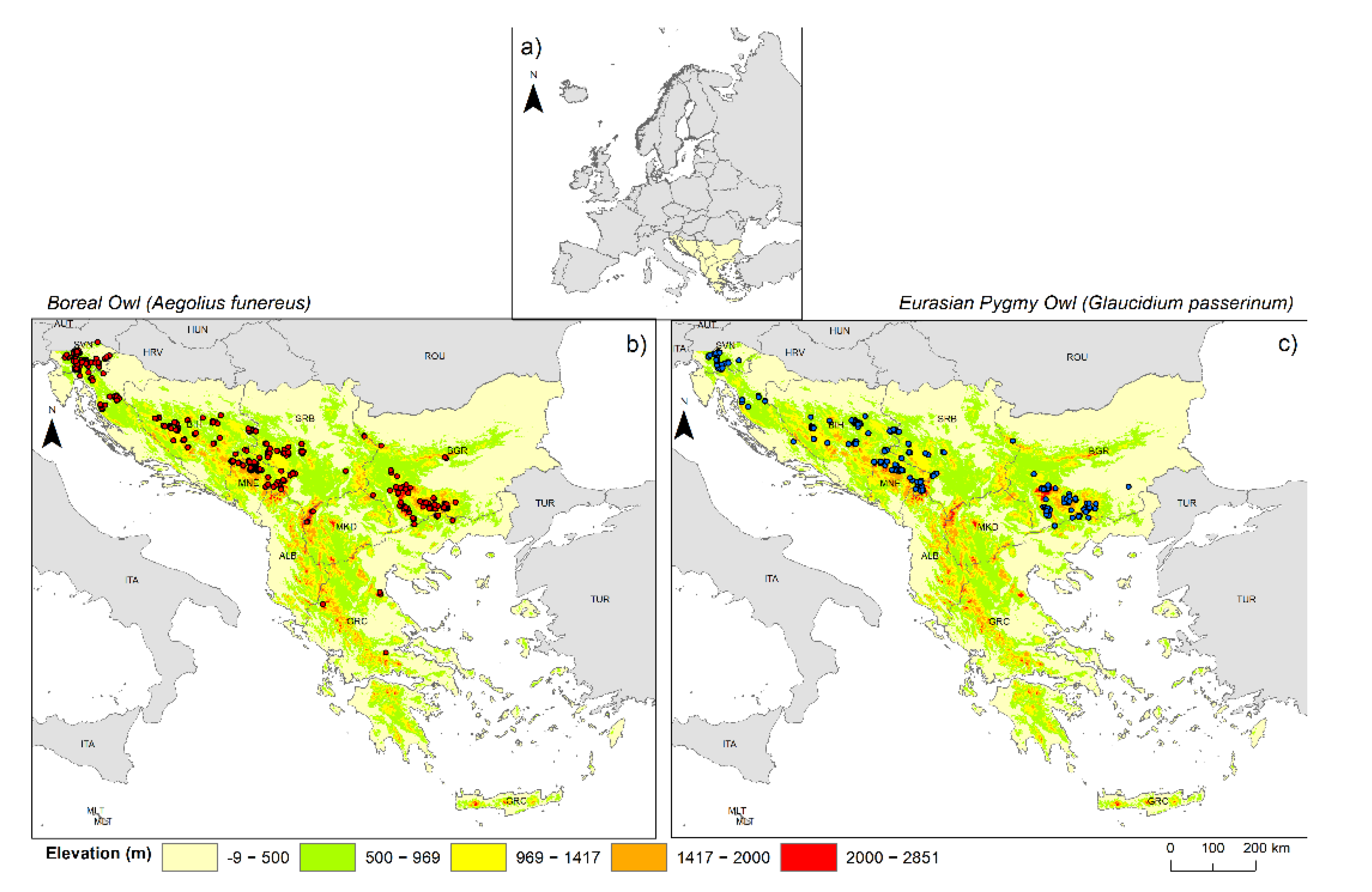 Animals 12 03226 g001