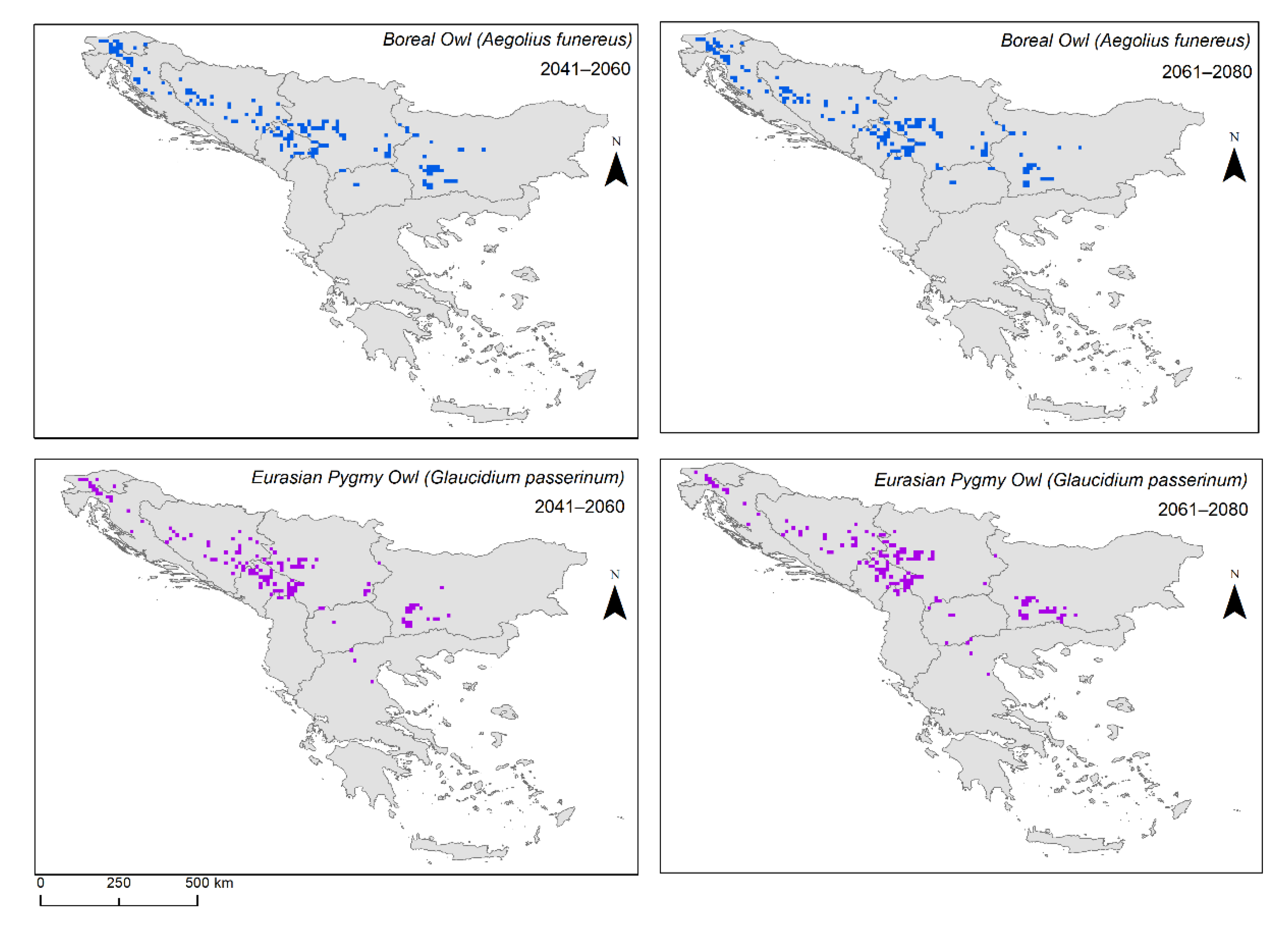 Animals 12 03226 g004