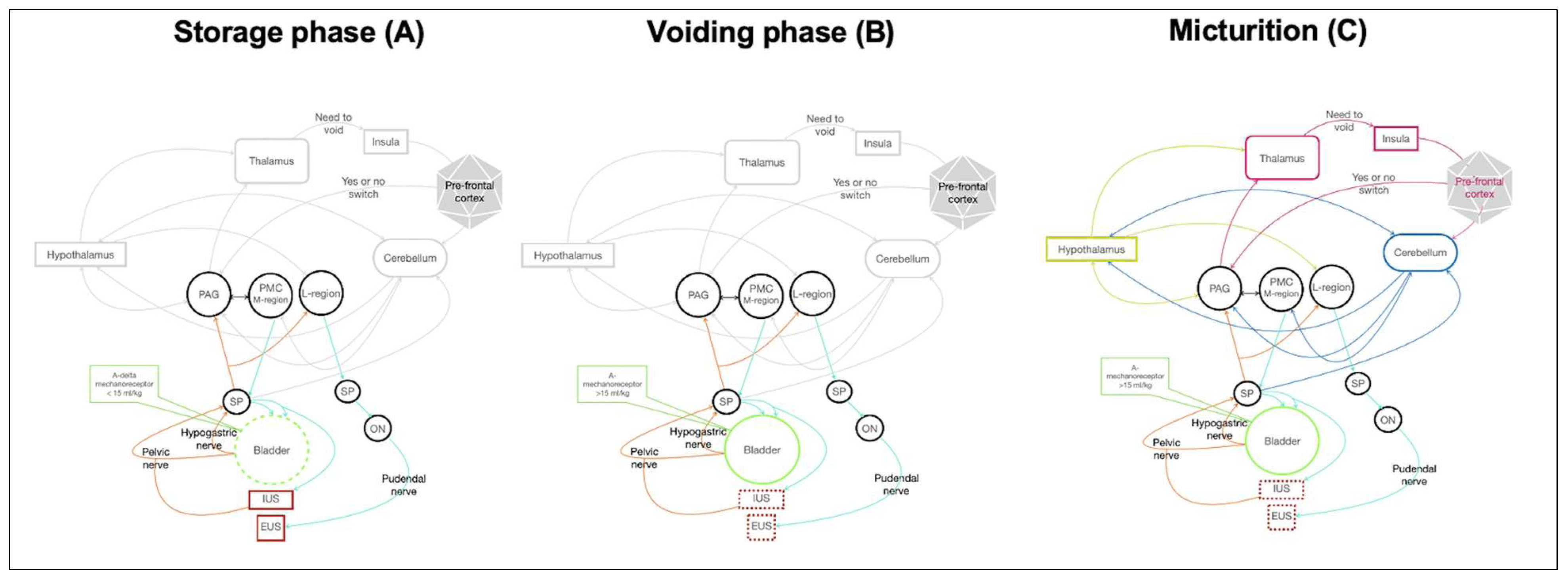 Animals 12 03233 g001 Animals 12 03233 g001