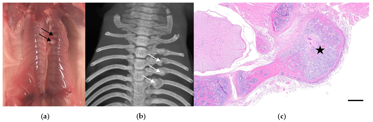 Animals 12 03234 g001 Animals 12 03234 g001