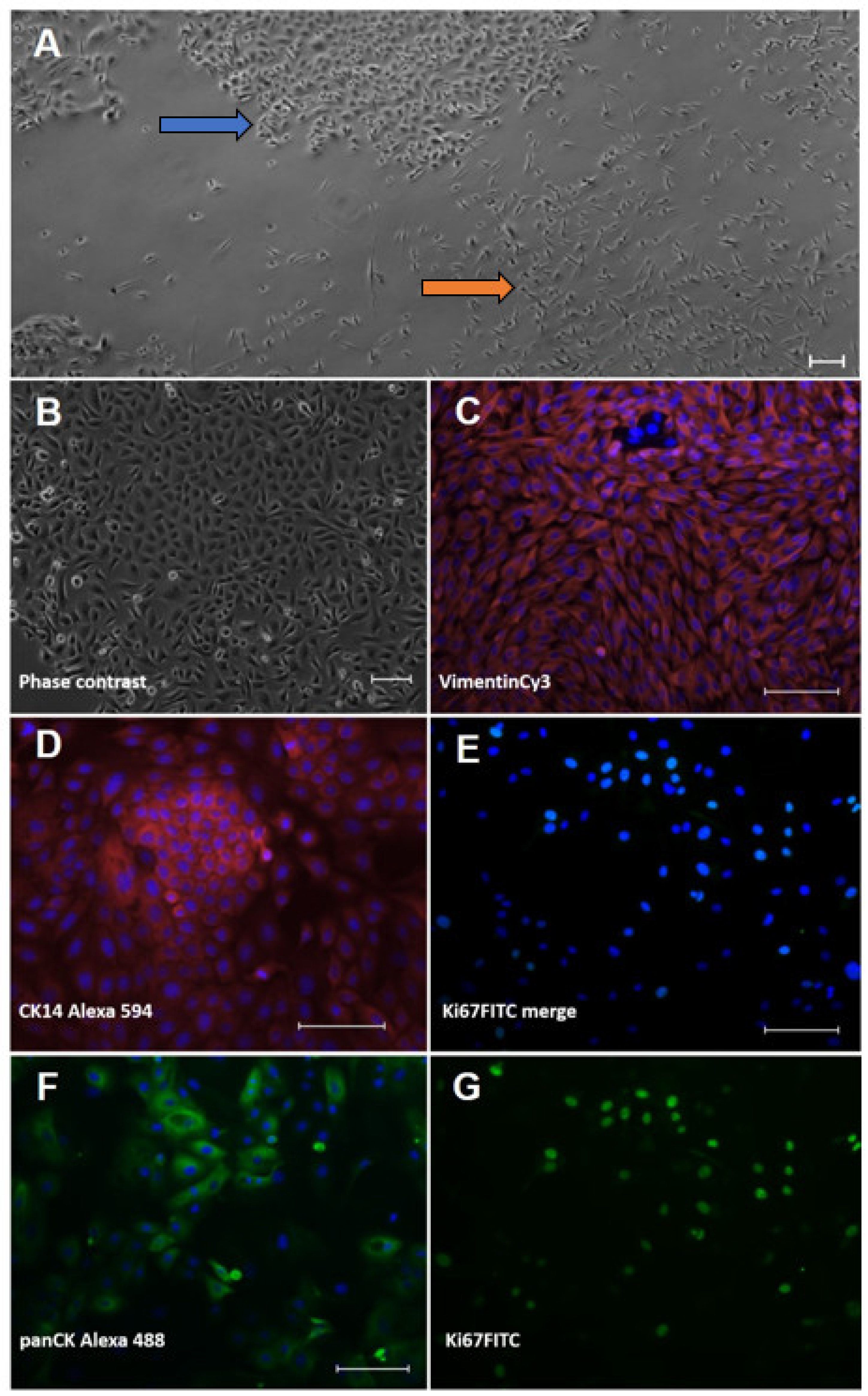 Animals 12 03235 g001 Animals 12 03235 g001
