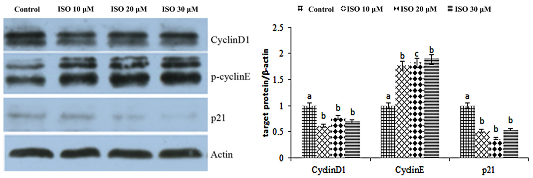 Animals 12 03241 g005