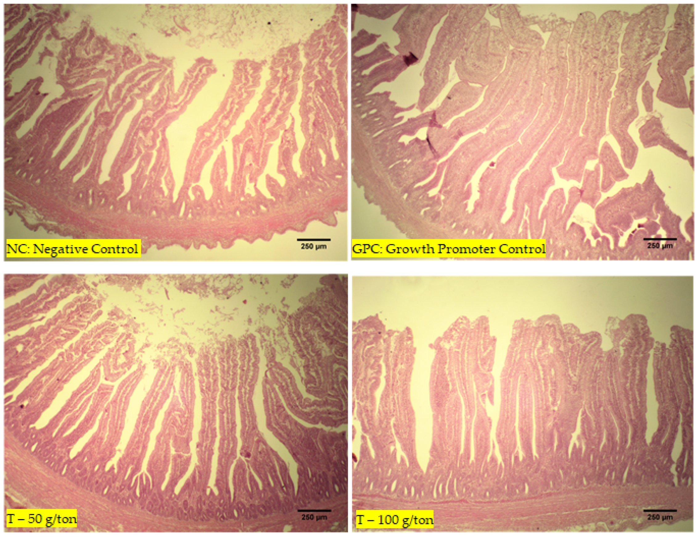 Animals 12 03249 g002