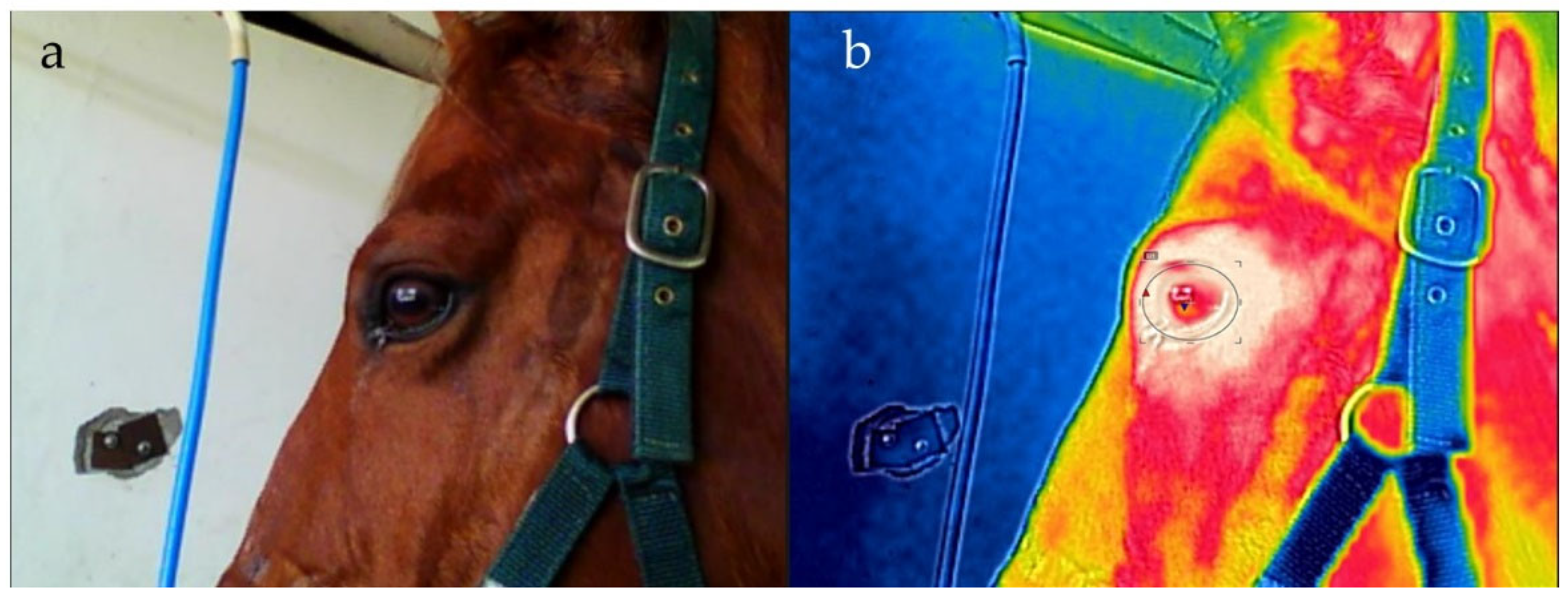 Animals 12 03255 g001