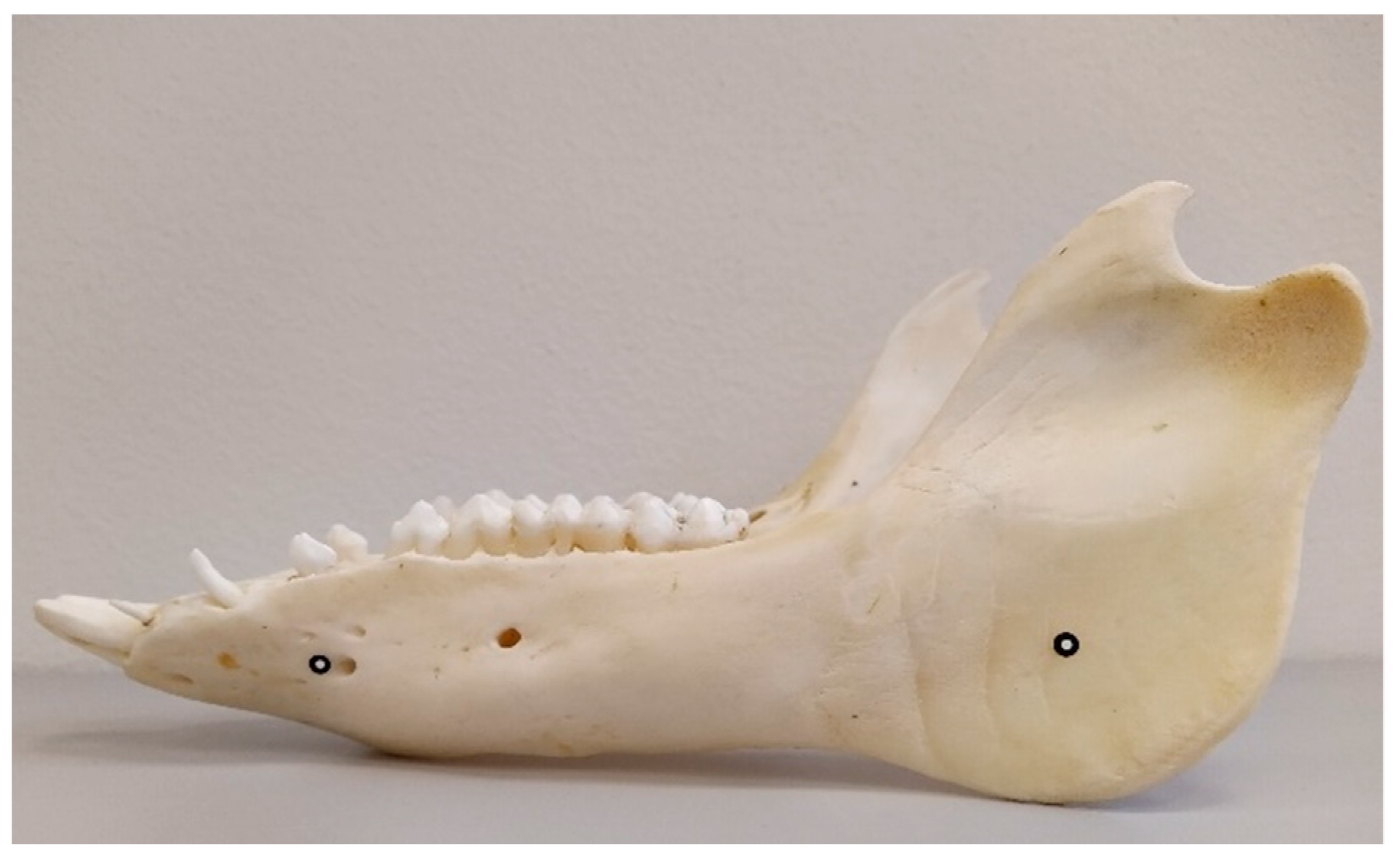 Animals 12 03256 g001 Animals 12 03256 g001