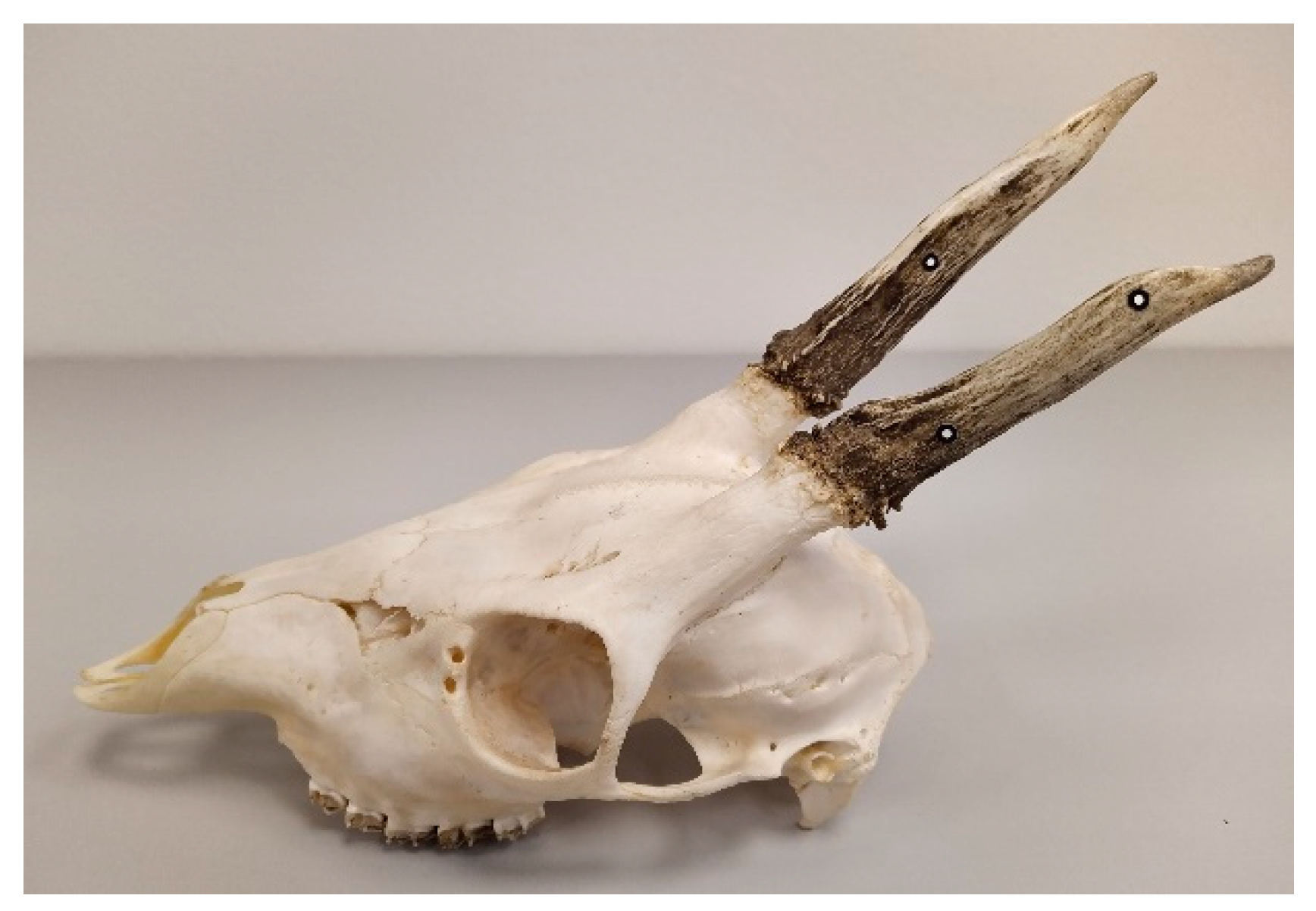 Animals 12 03256 g002 Animals 12 03256 g002