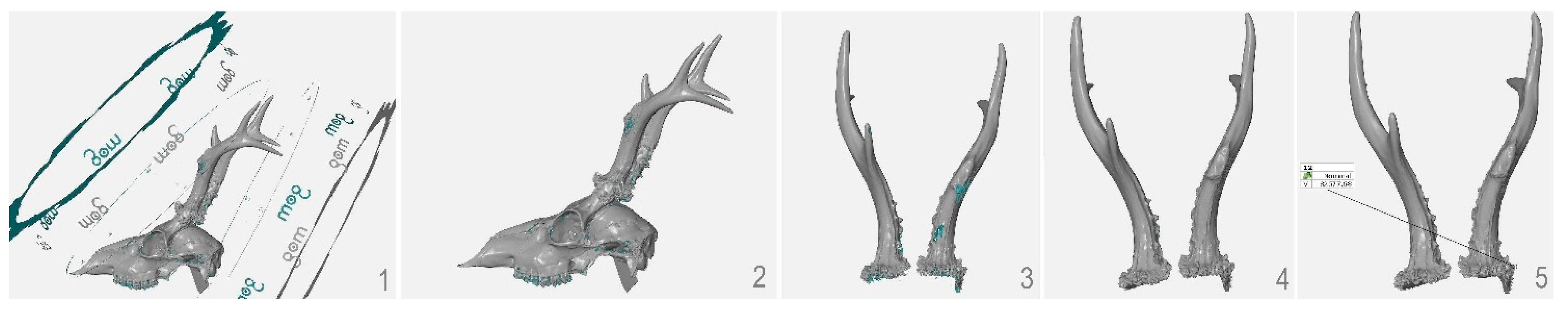 Animals 12 03256 g003 Animals 12 03256 g003