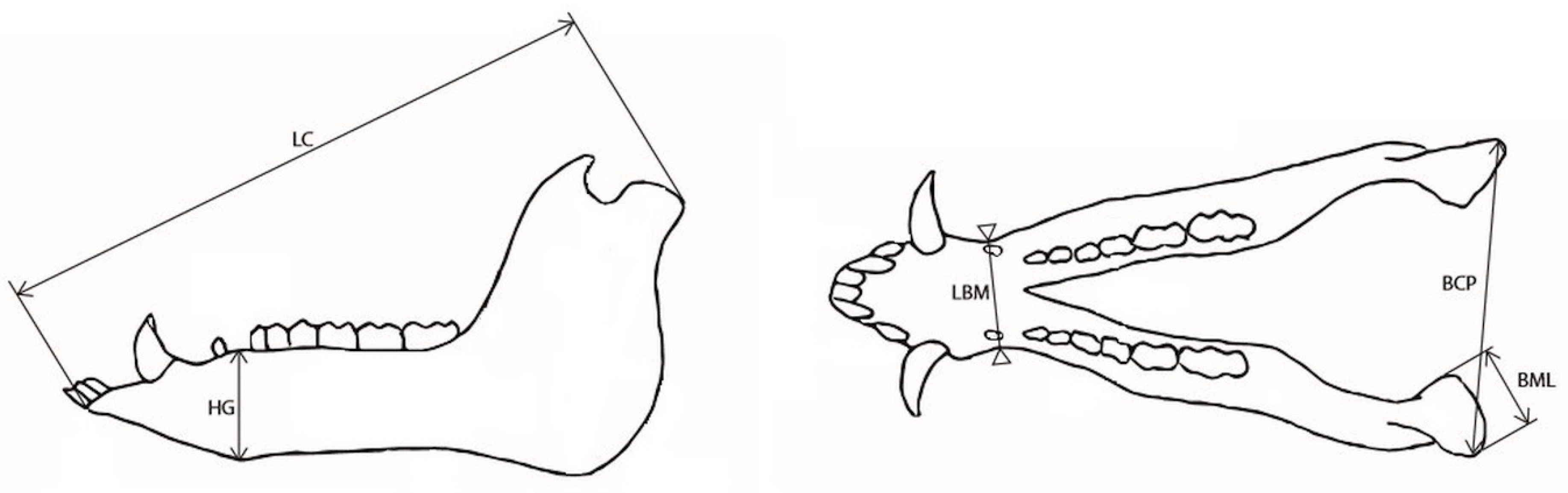 Animals 12 03256 g004 Animals 12 03256 g004