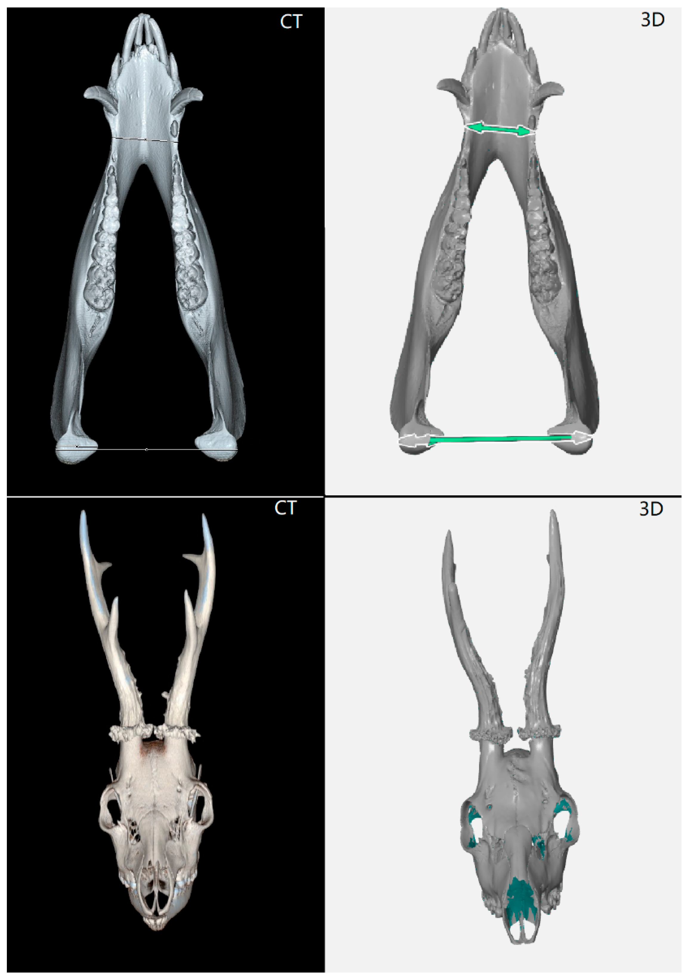 Animals 12 03256 g008 Animals 12 03256 g008