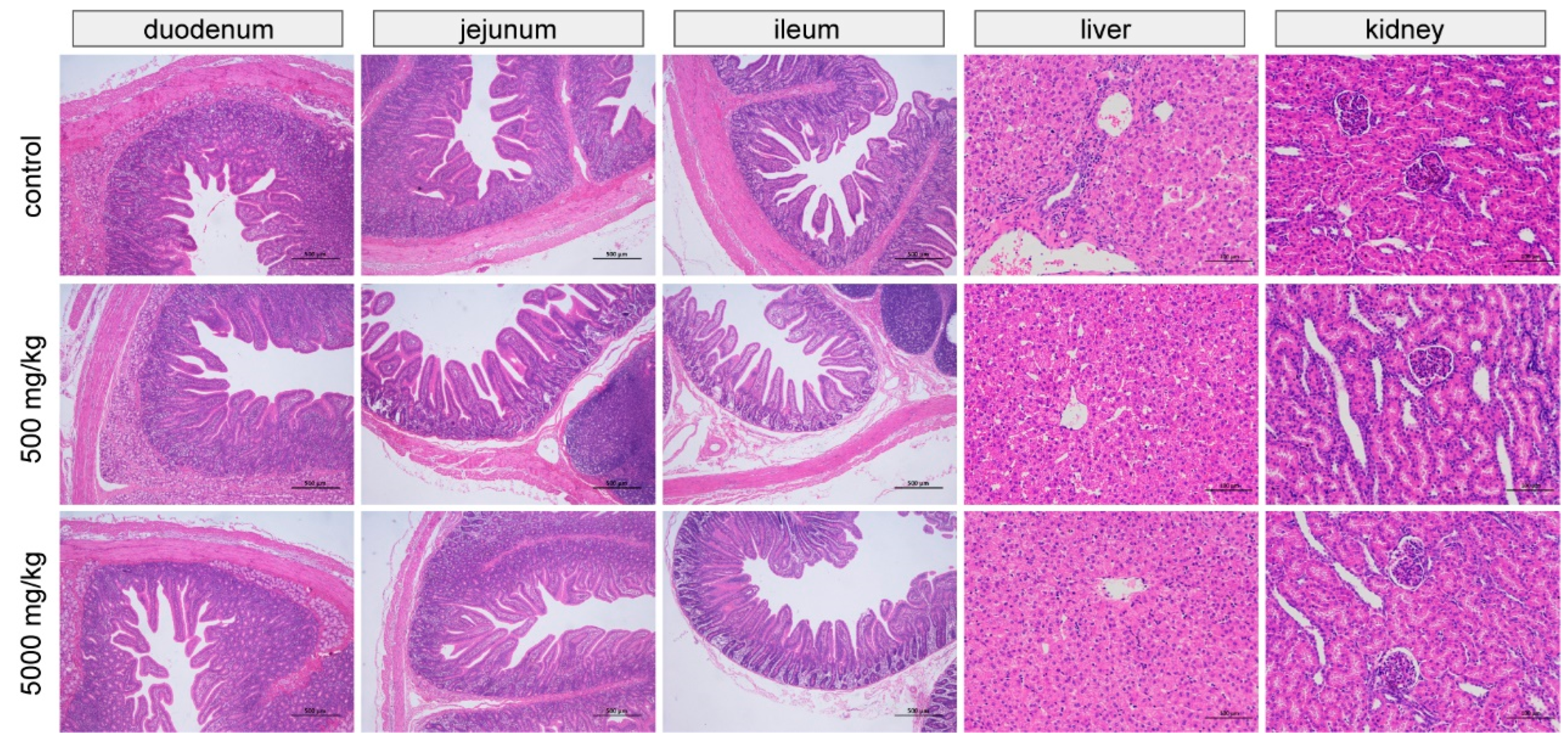 Animals 12 03267 g001