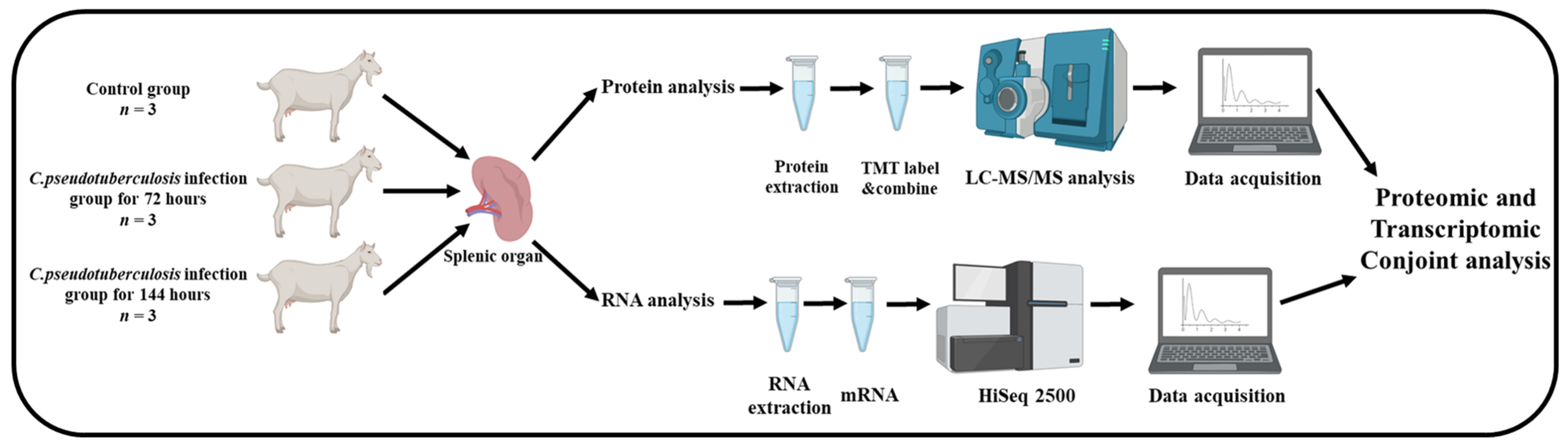 Animals 12 03270 g001