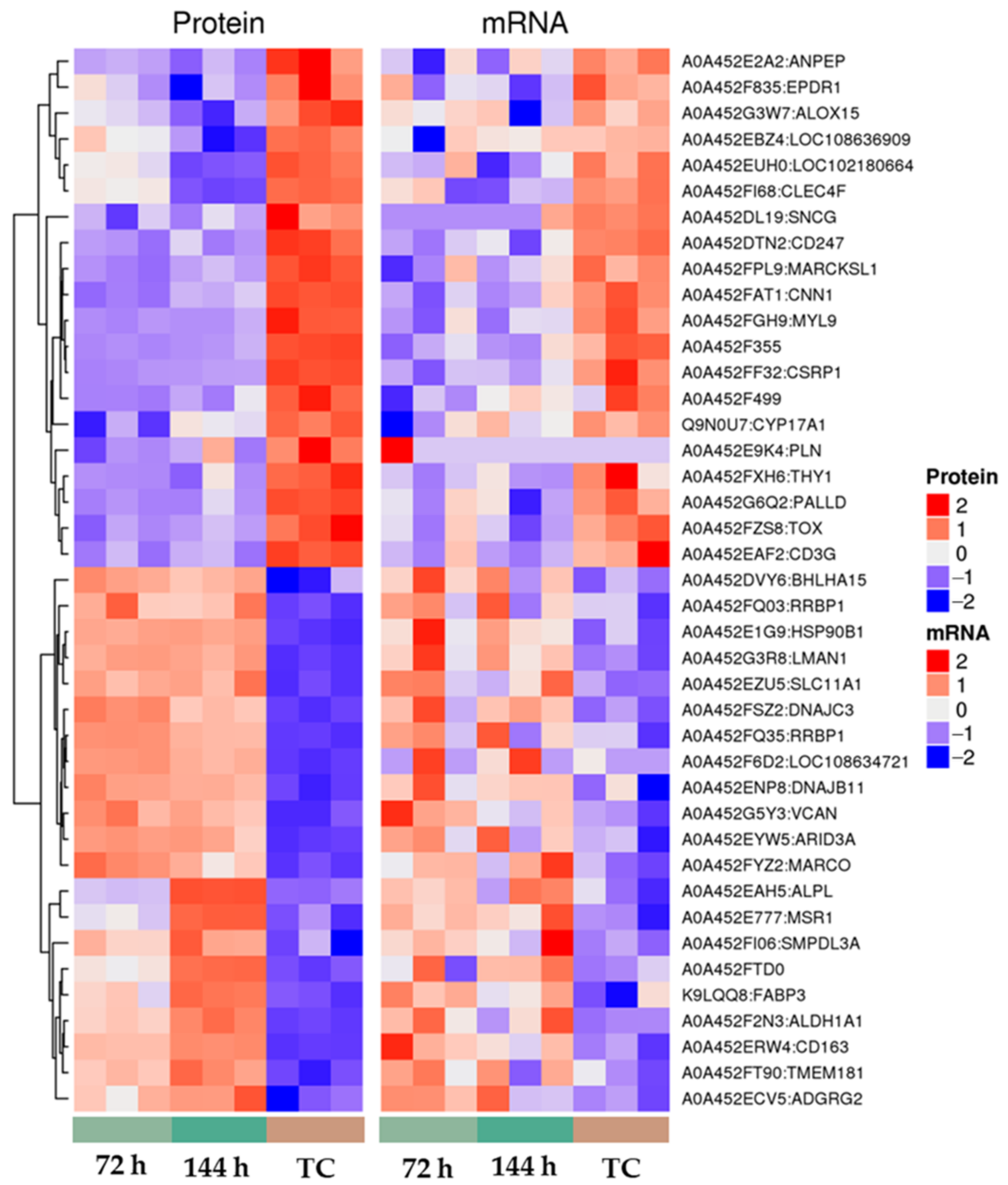 Animals 12 03270 g006