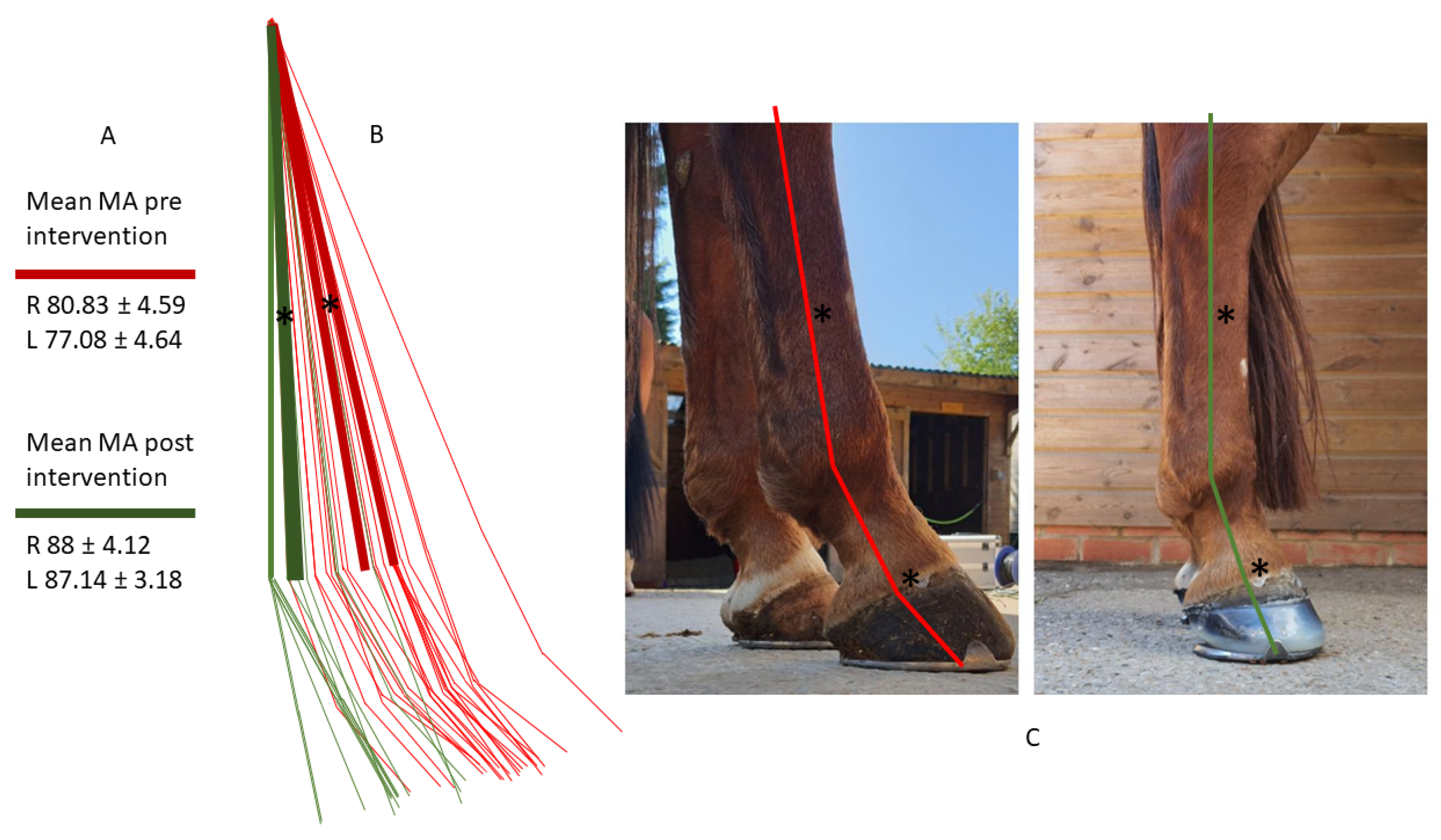 Animals 12 03275 g008