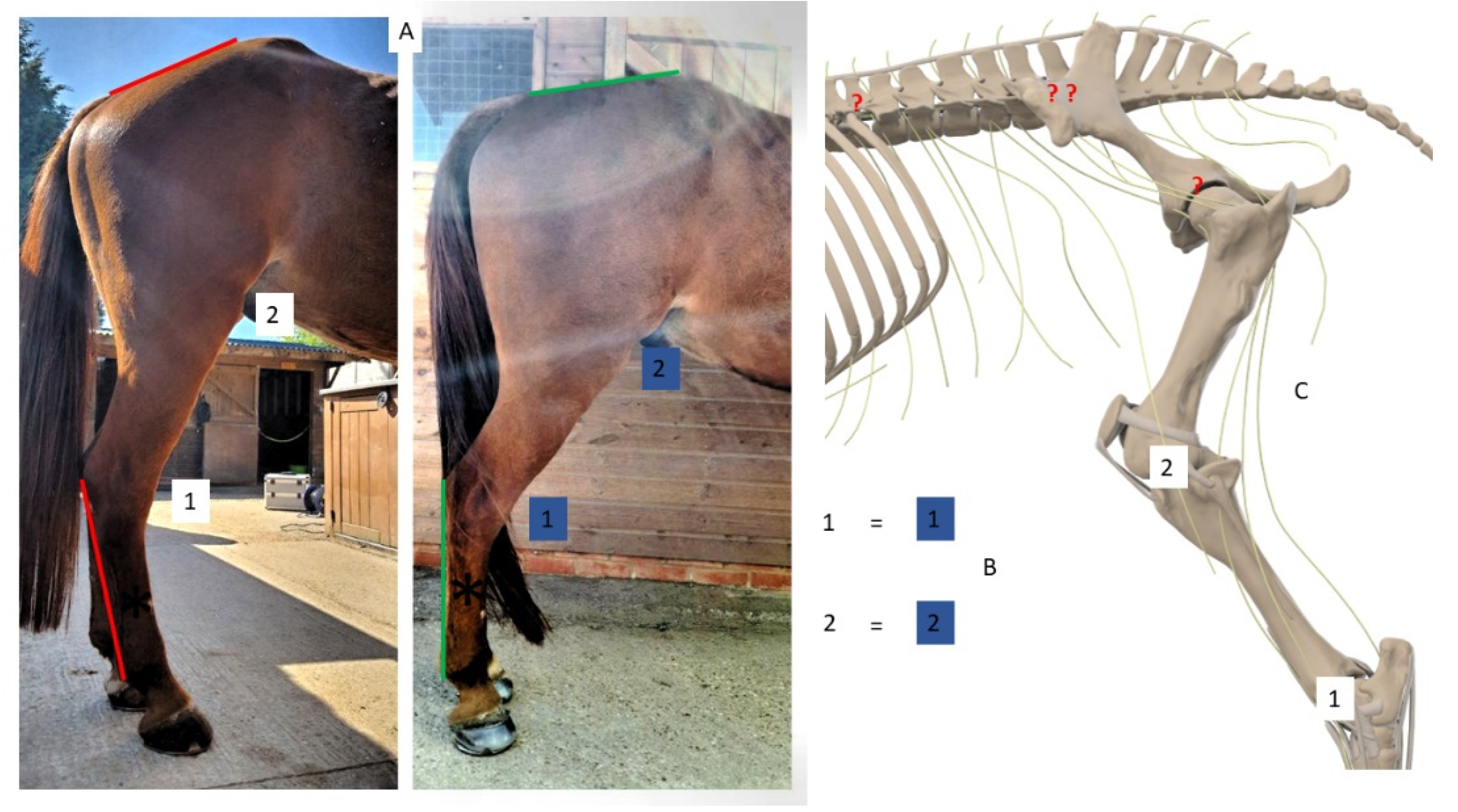 Animals 12 03275 g011