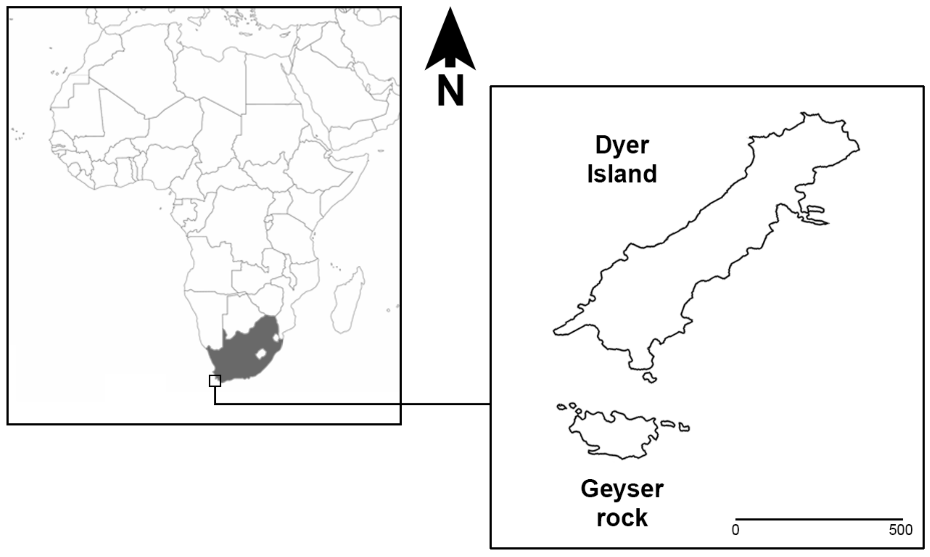 Animals 12 03276 g001