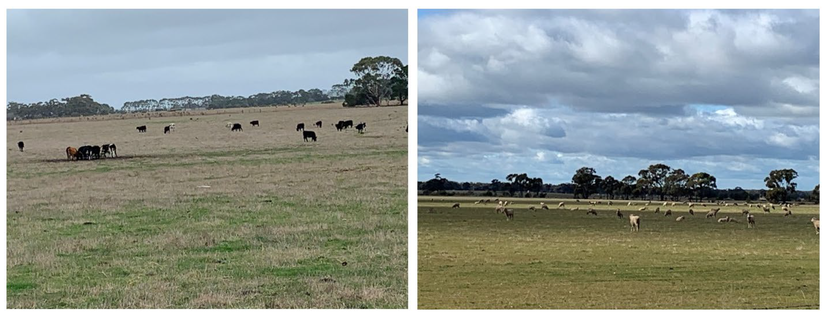 Animals 12 03279 g001 Animals 12 03279 g001