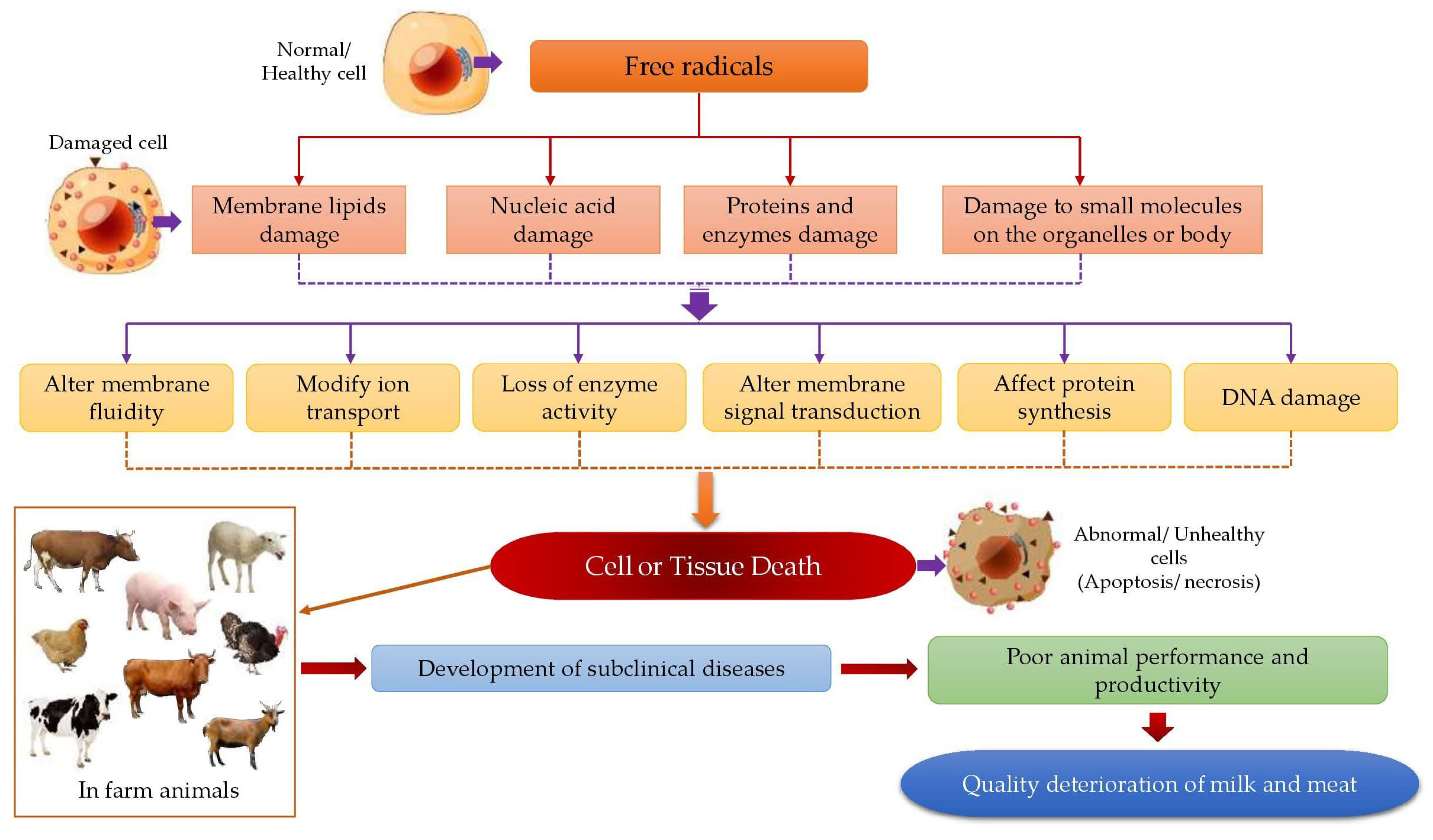 Animals 12 03279 g003 Animals 12 03279 g003