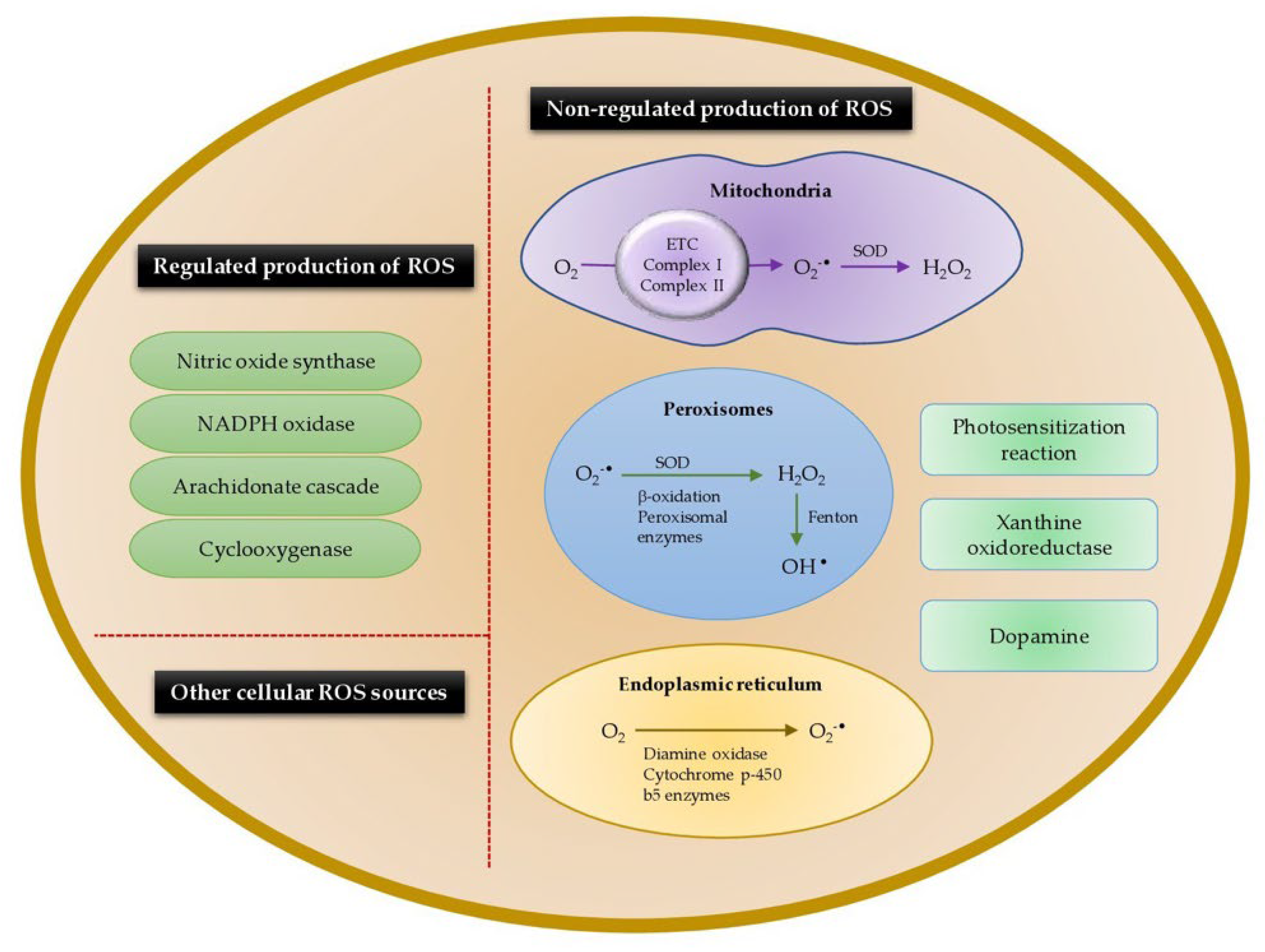 Animals 12 03279 g005 Animals 12 03279 g005