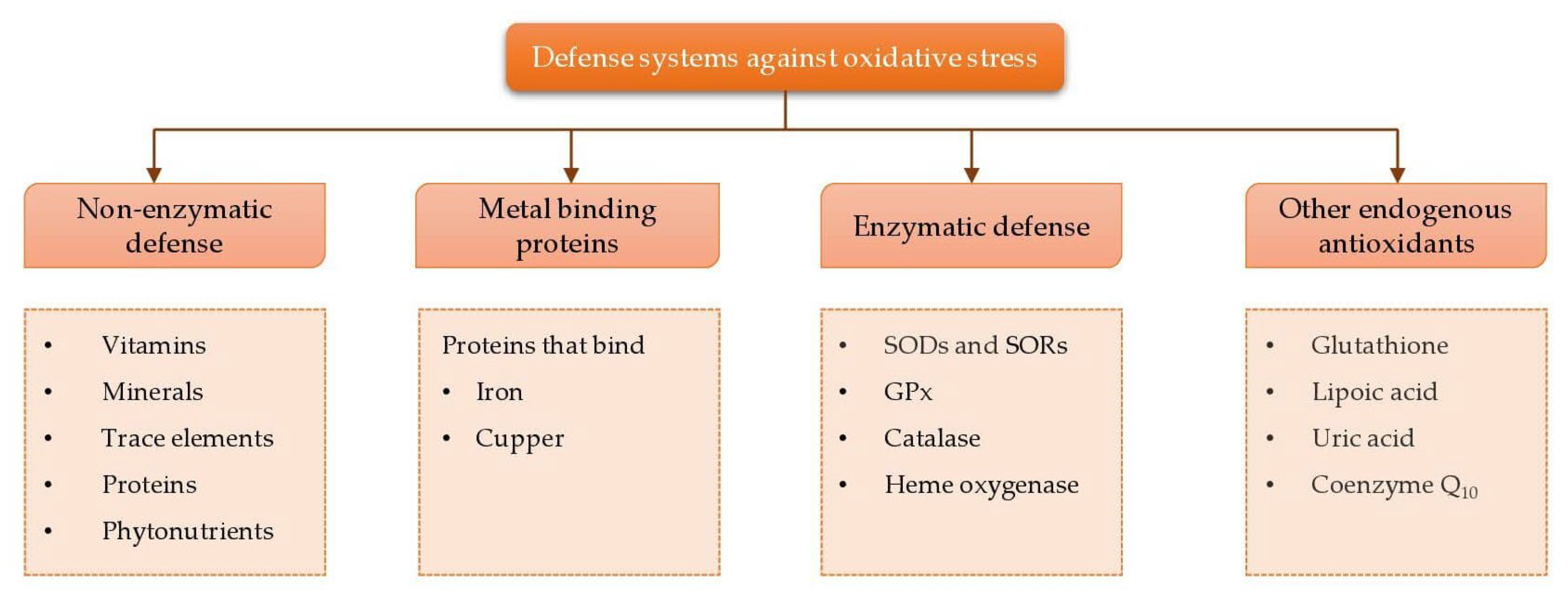 Animals Free FullText The Importance of Dietary Antioxidants on