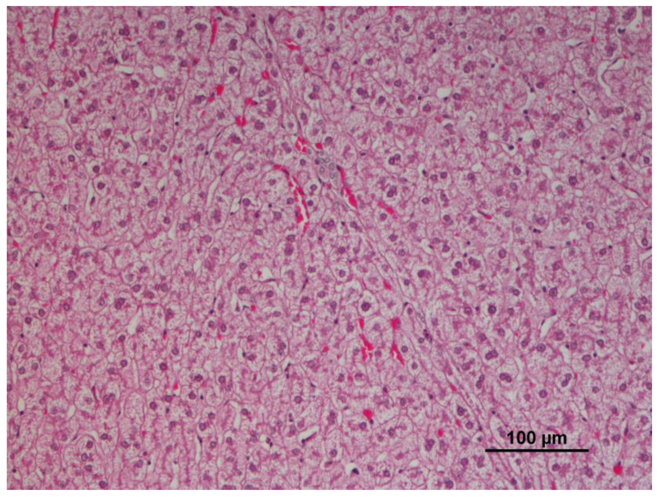 Animals 12 03282 g002 Animals 12 03282 g002