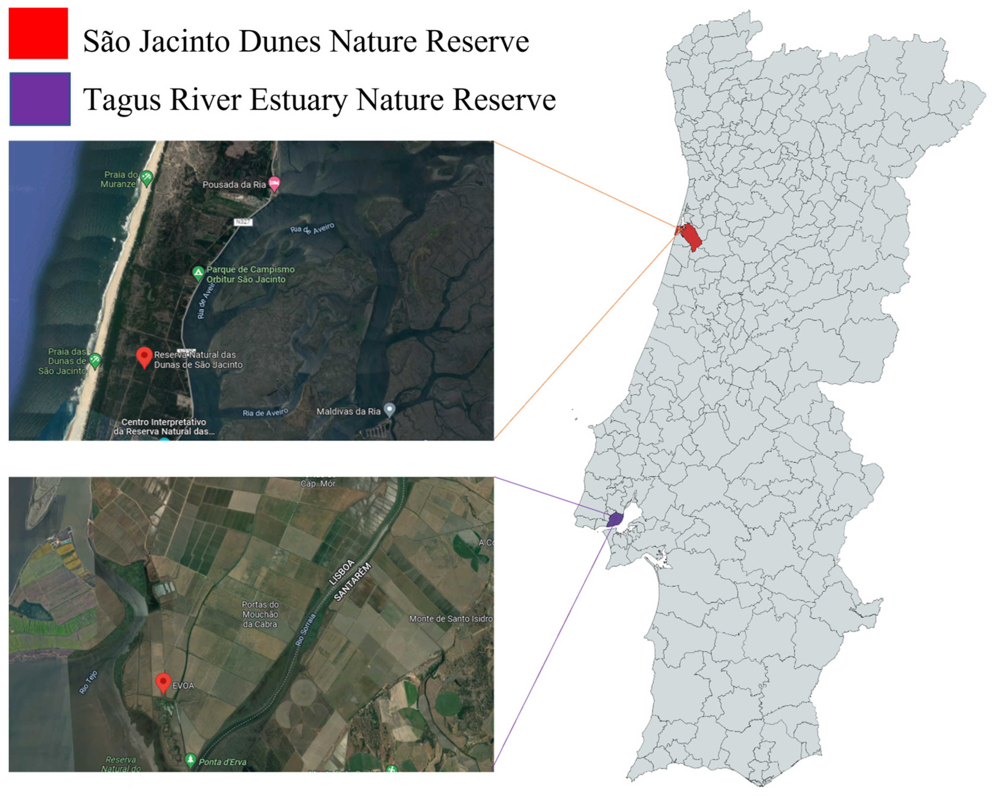 Animals 12 03283 g001