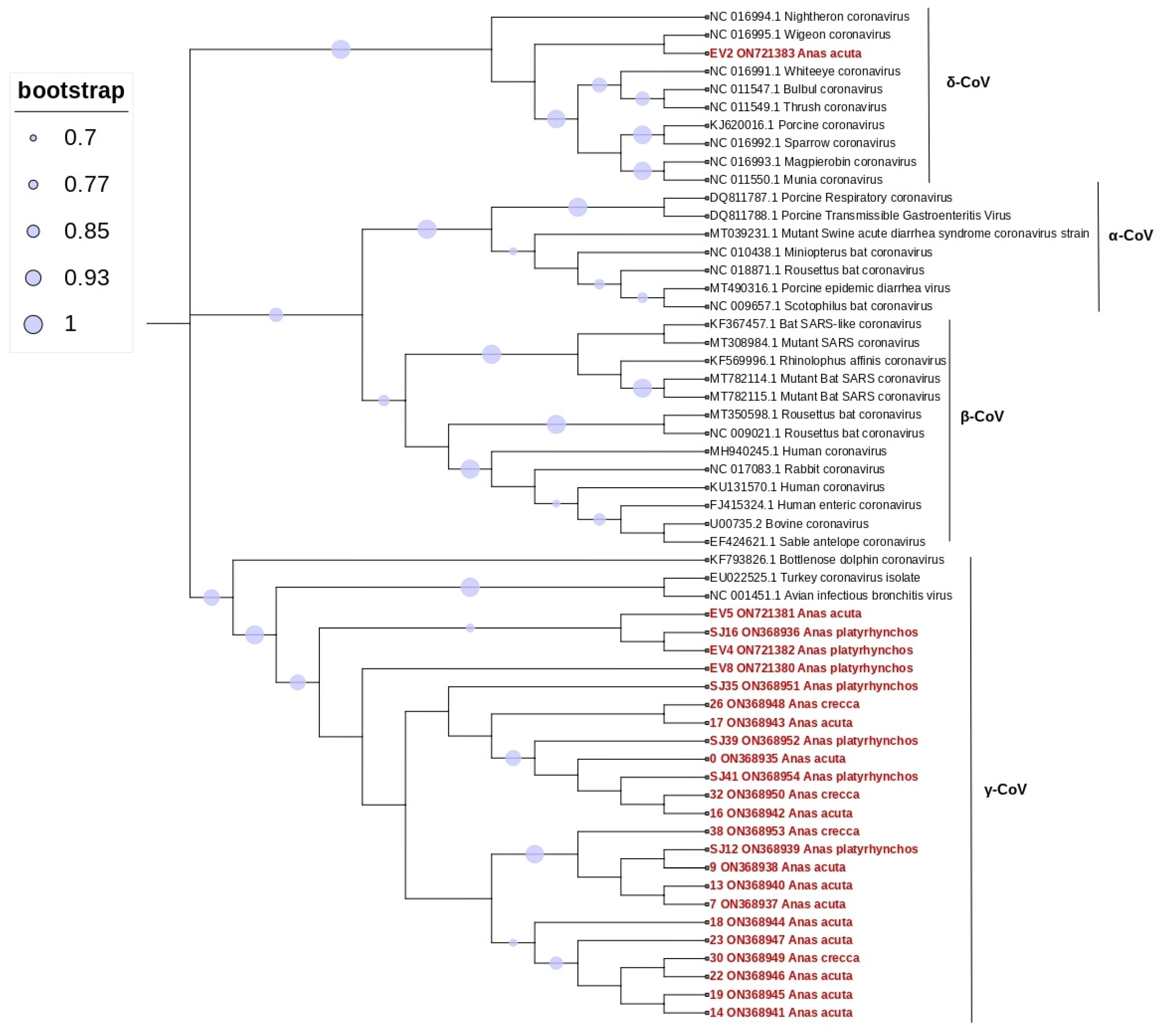 Animals 12 03283 g002