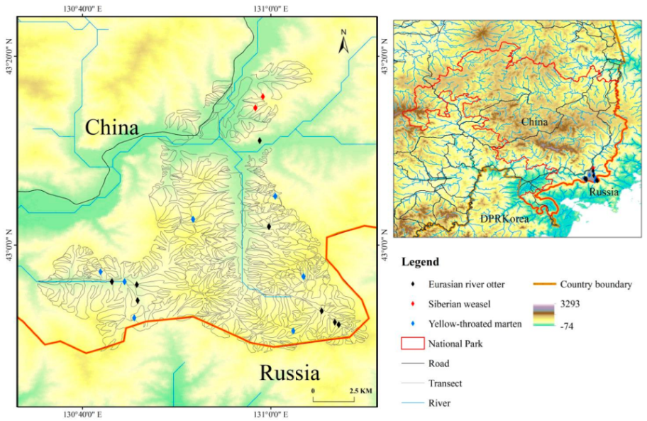 Animals 12 03290 g001 Animals 12 03290 g001
