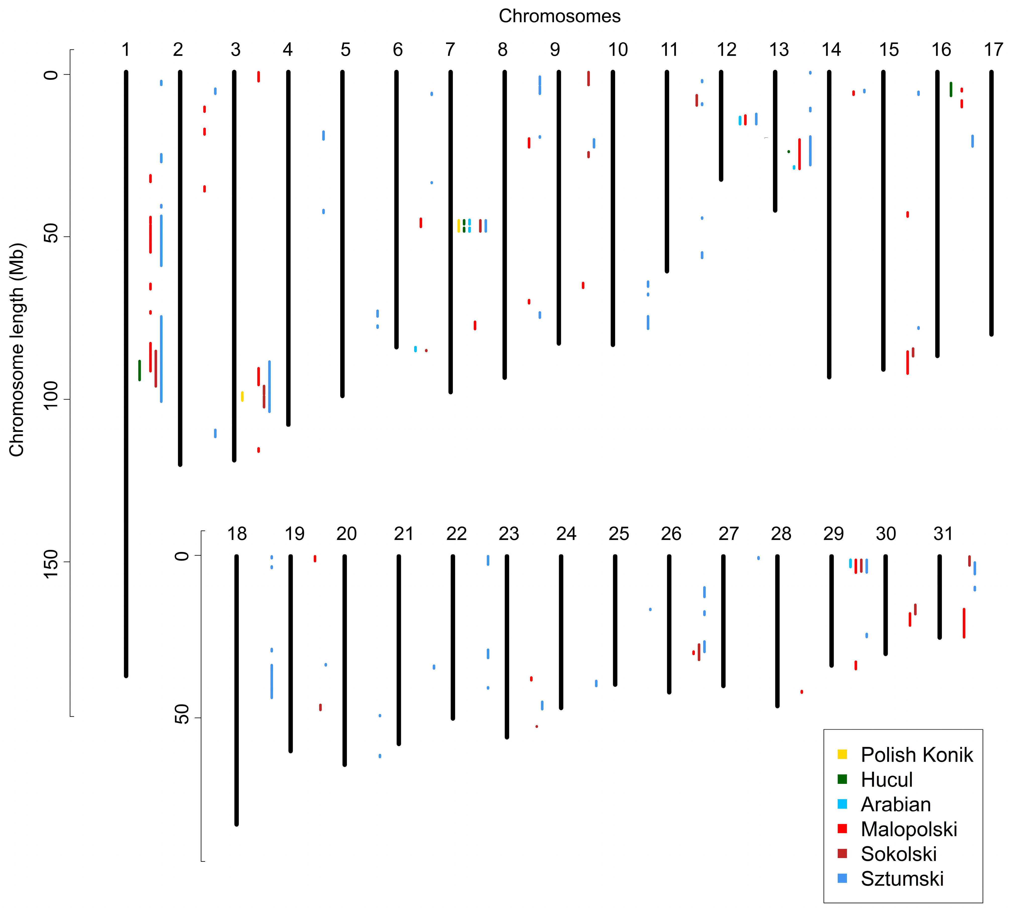 Animals 12 03293 g005 Animals 12 03293 g005