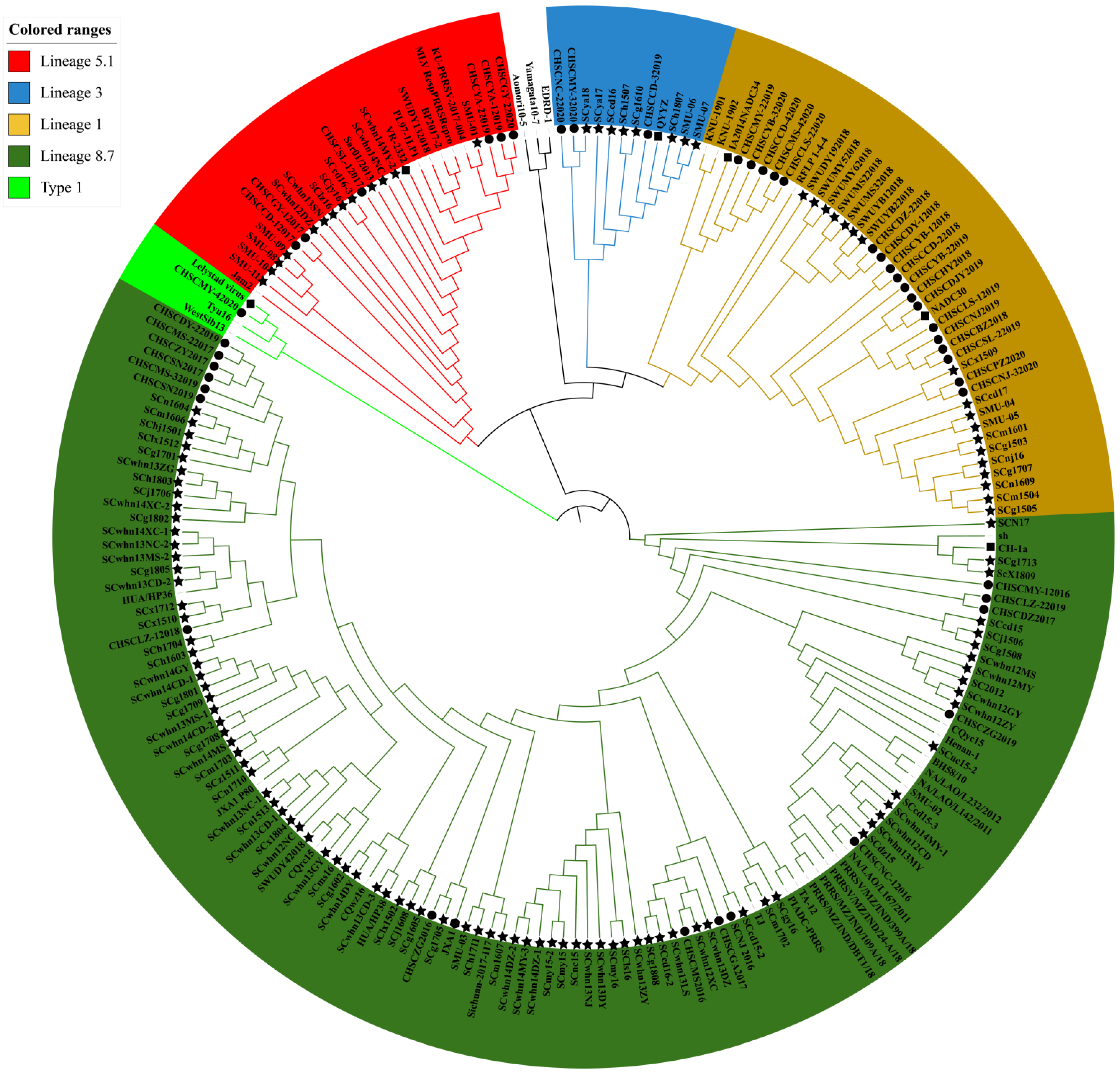 LINさん Molecular Characterization of the Nsp2 and ORF5s of PRRSV