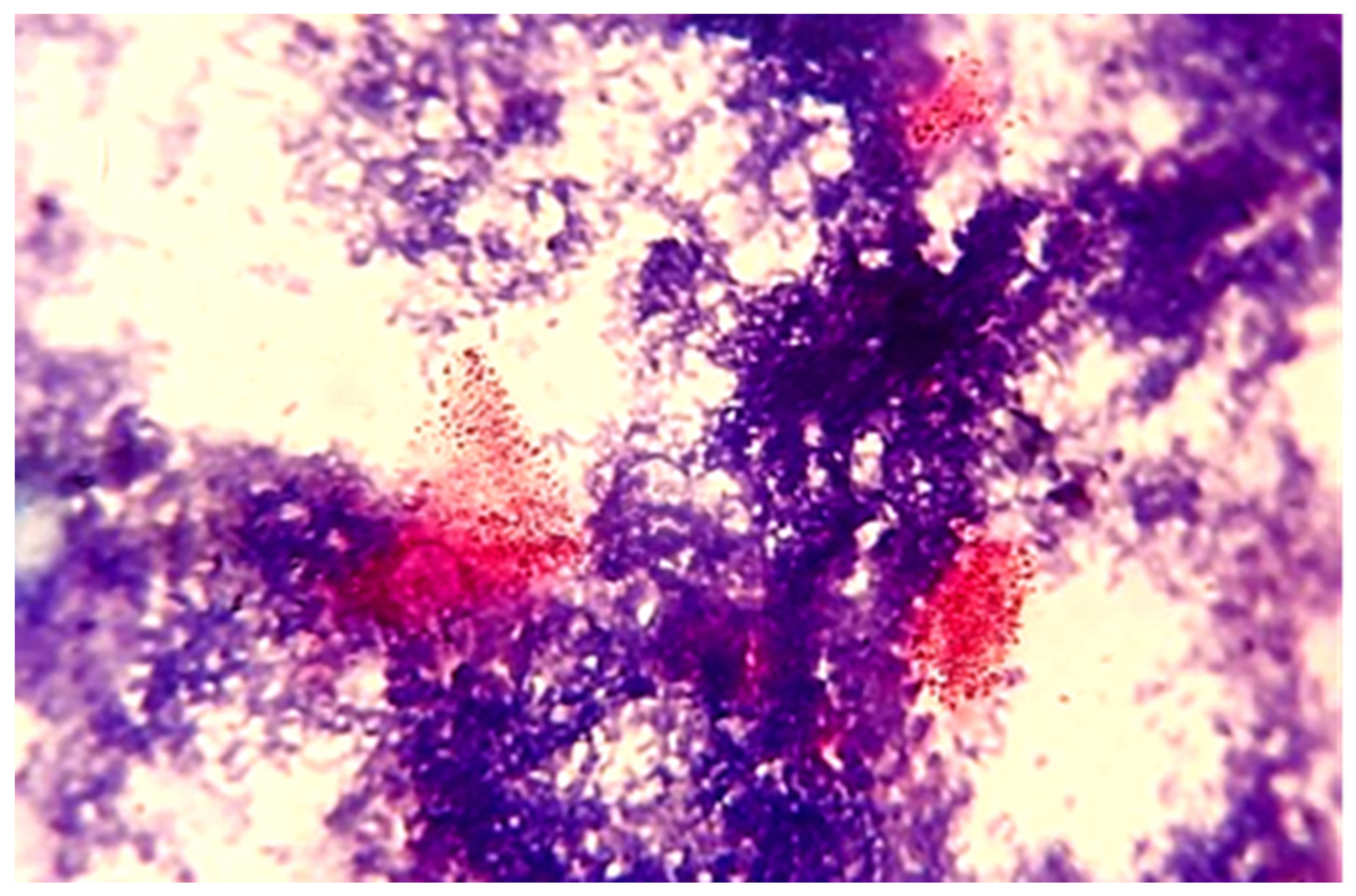 Animals 12 03312 g003