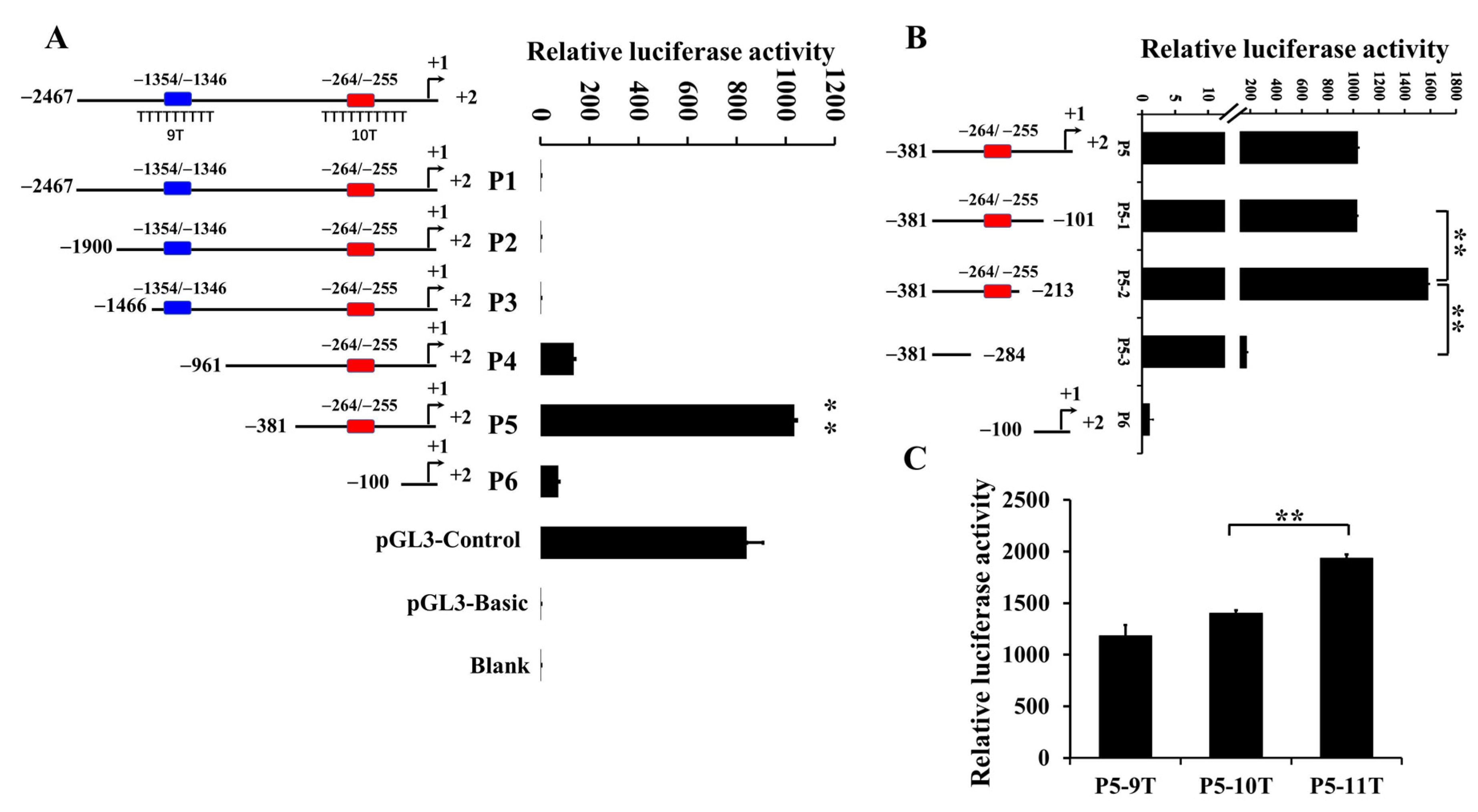 Animals 12 03316 g001 Animals 12 03316 g001