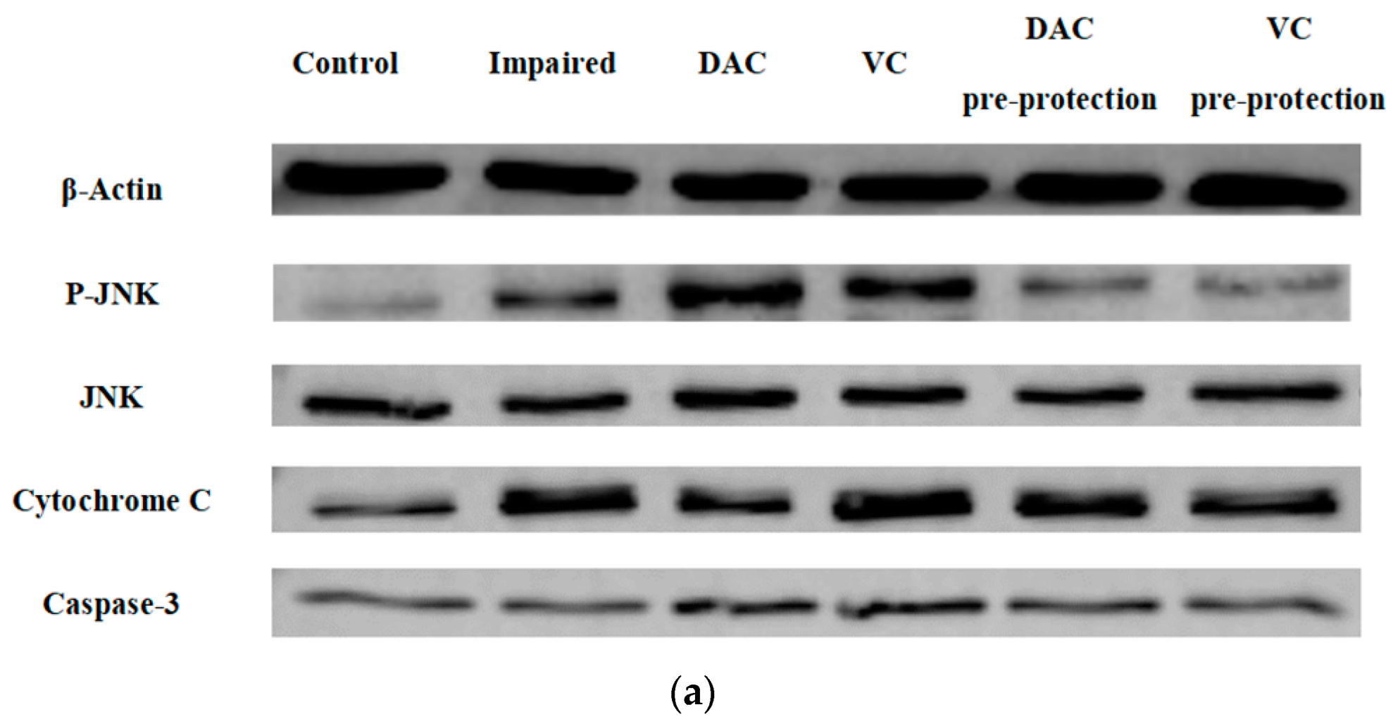 Animals 12 03320 g004a Animals 12 03320 g004a
