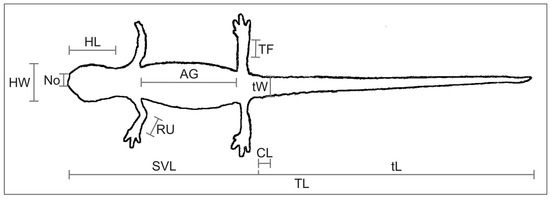 https://www.mdpi.com/animals/animals-12-03326/article_deploy/html/images/animals-12-03326-g001-550.jpg