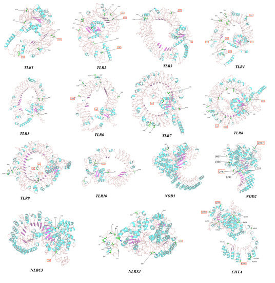 Evolutionary Impacts of Pattern Recognition Receptor Genes on Carnivora ...