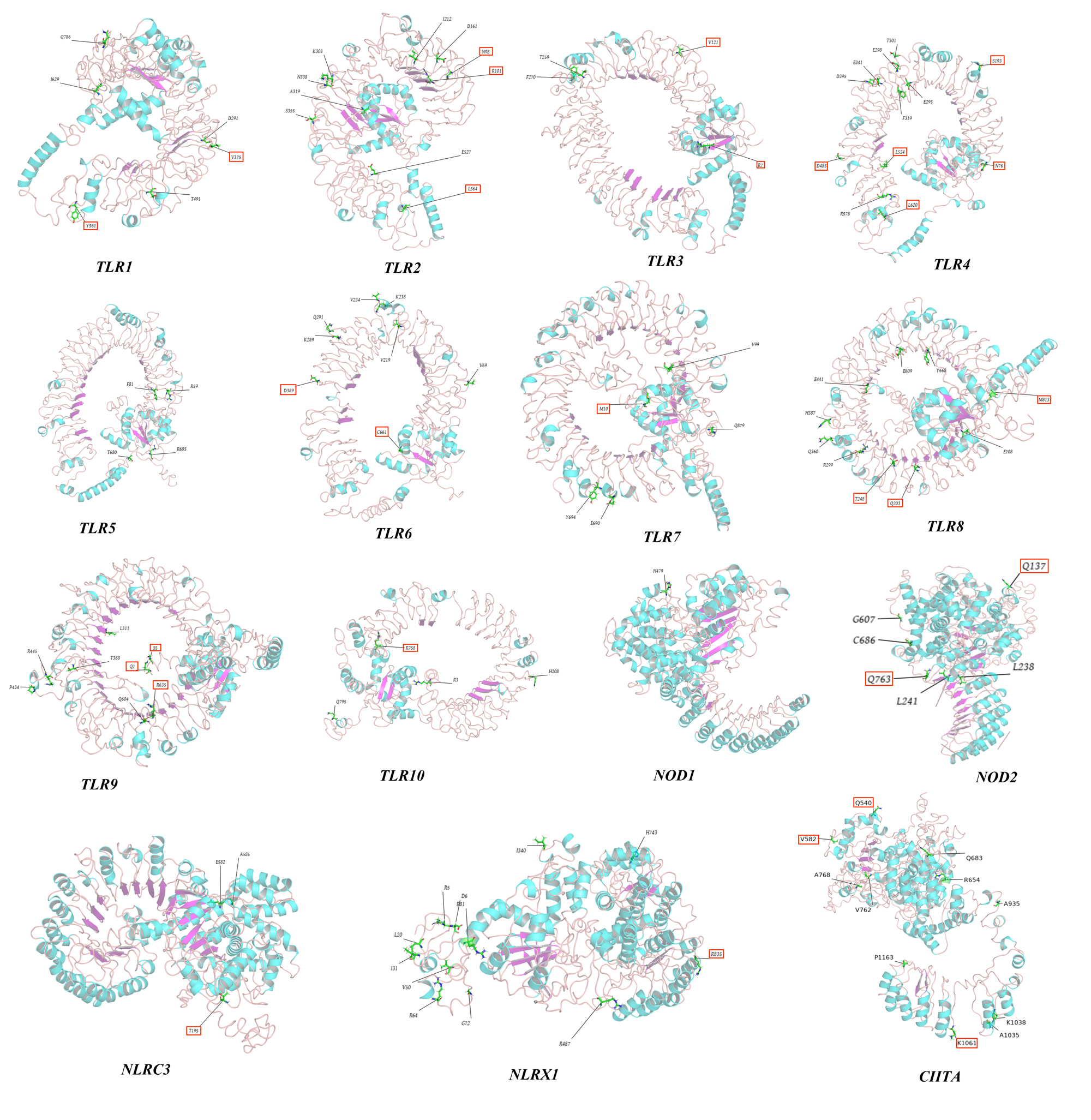 Animals 12 03331 g008