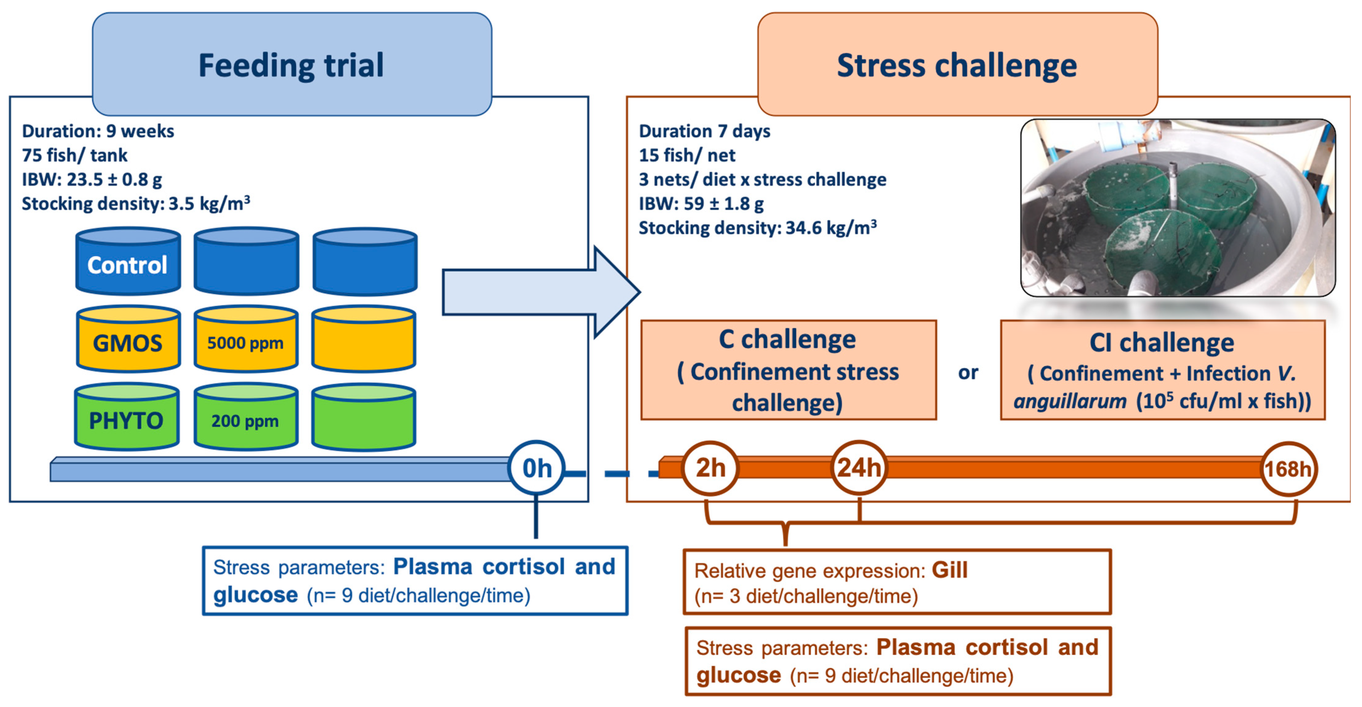 Animals 12 03332 g001