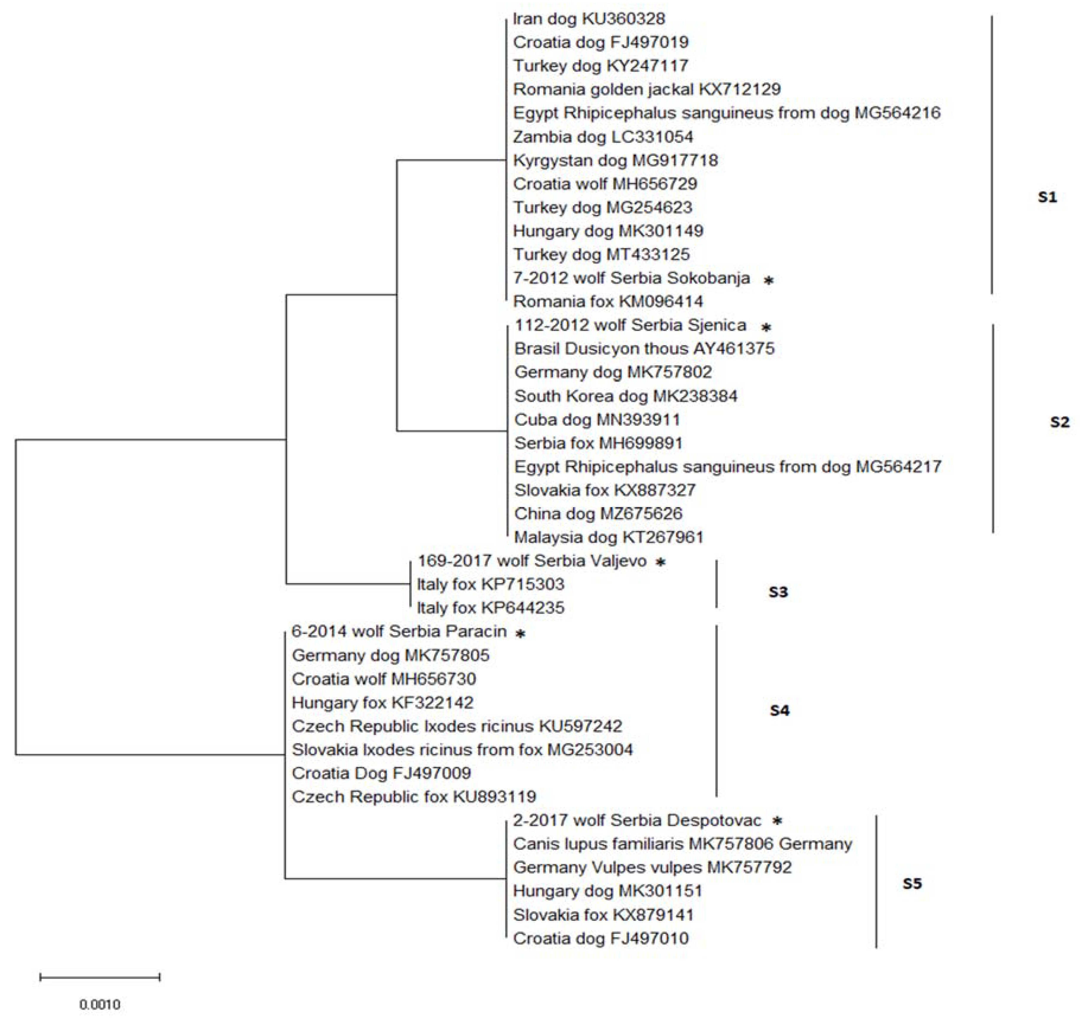 Animals 12 03335 g003