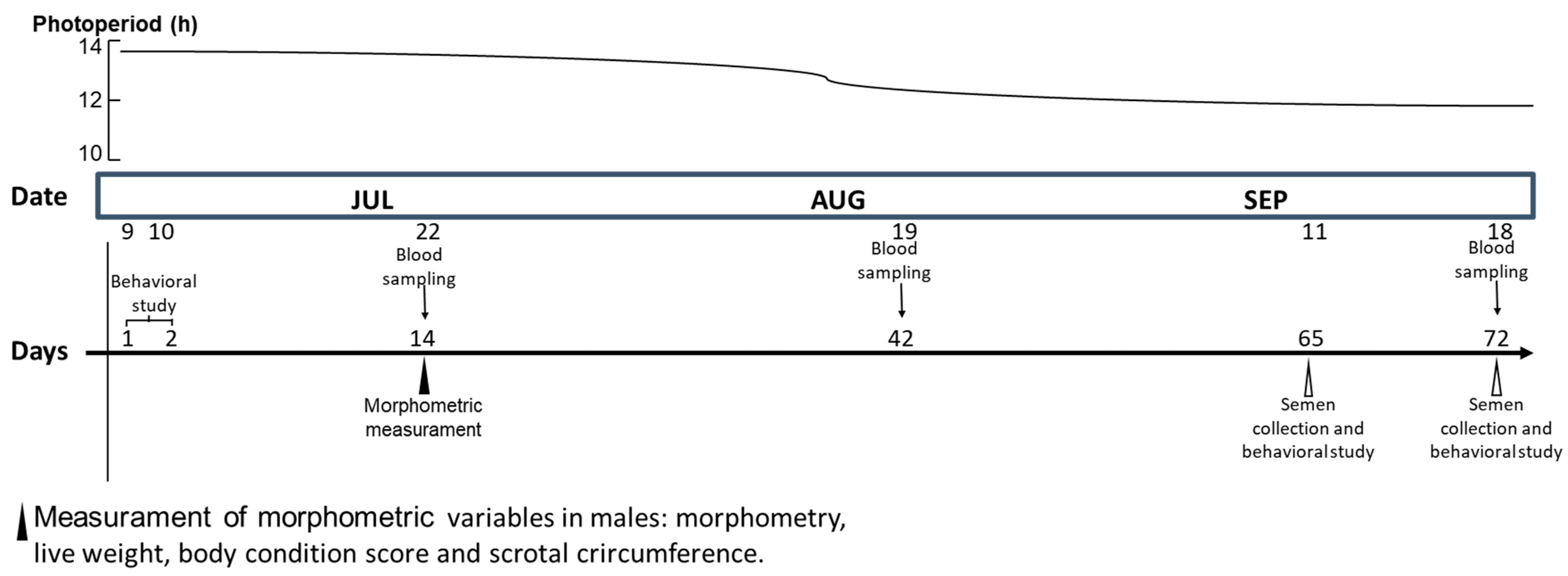 Animals 12 03339 g001
