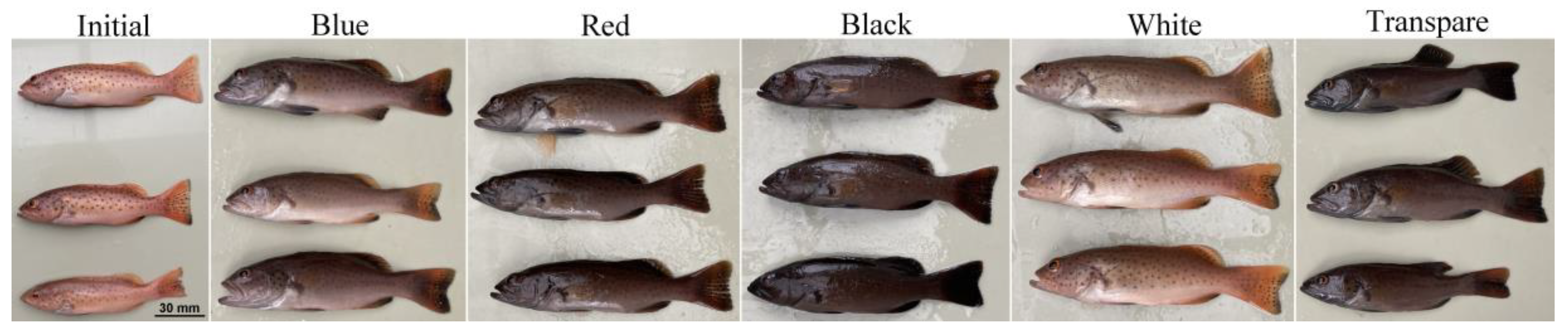 Animals 12 03349 g001 Animals 12 03349 g001