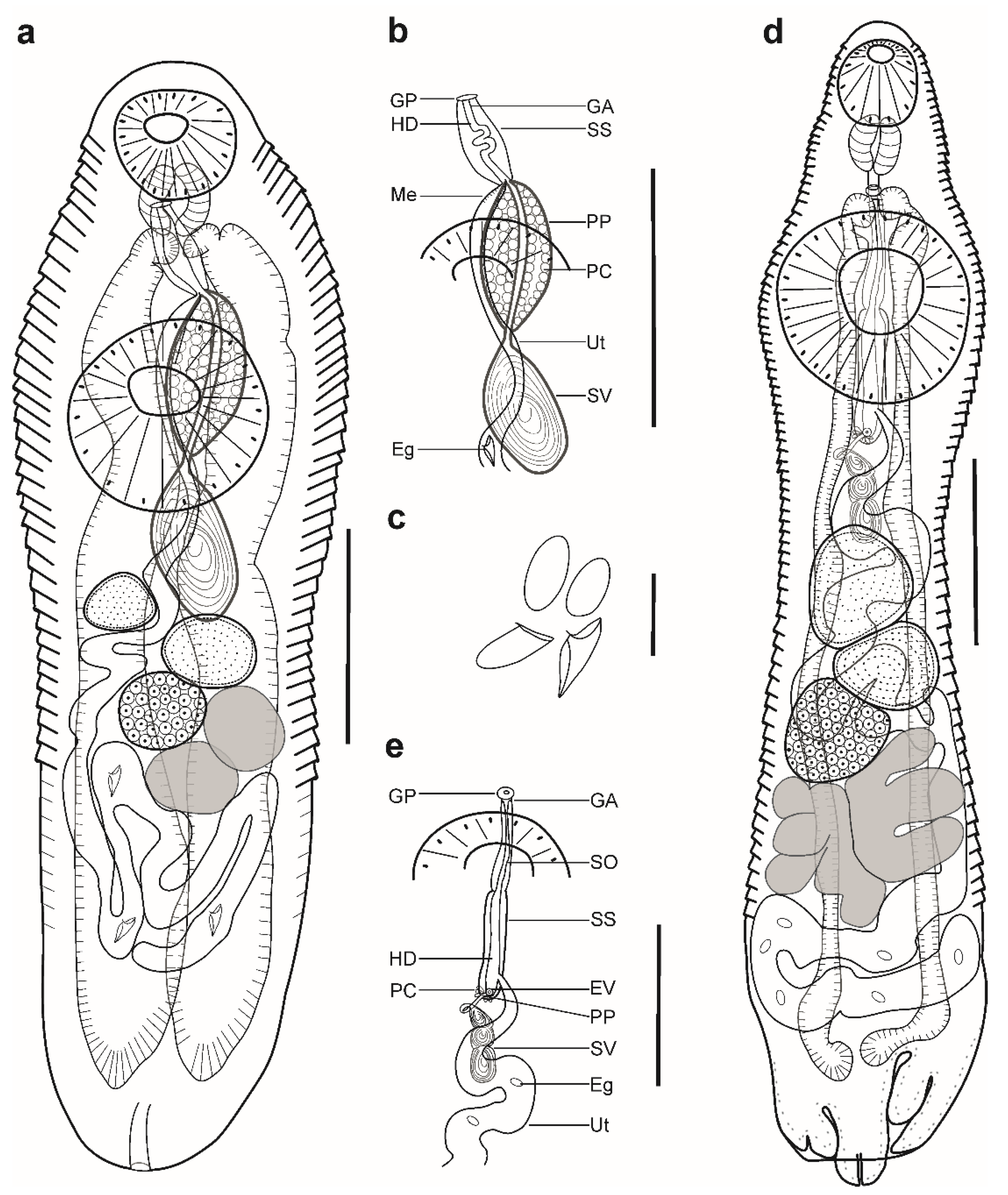 Animals 12 03355 g001 Animals 12 03355 g001