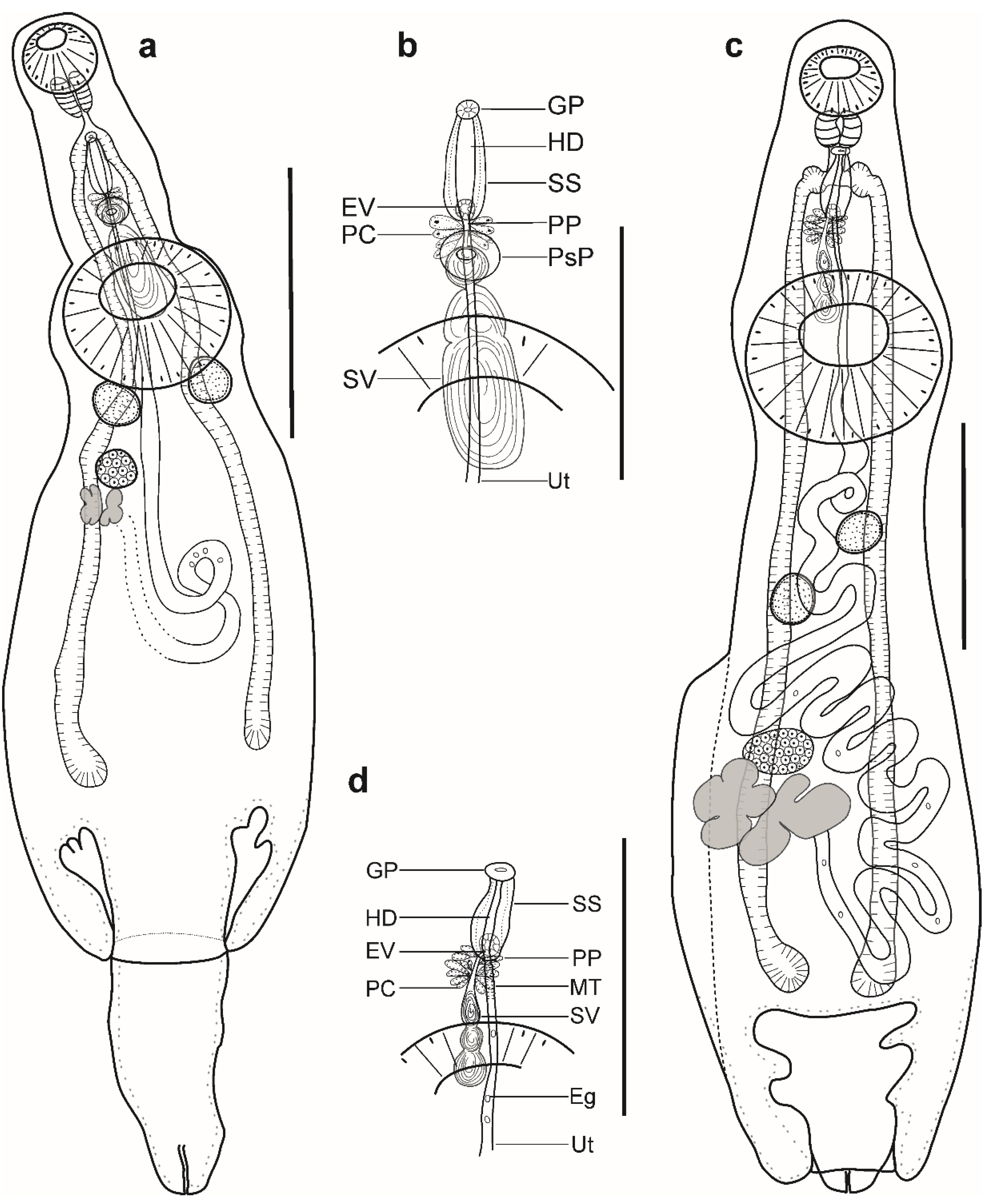 Animals 12 03355 g003 Animals 12 03355 g003