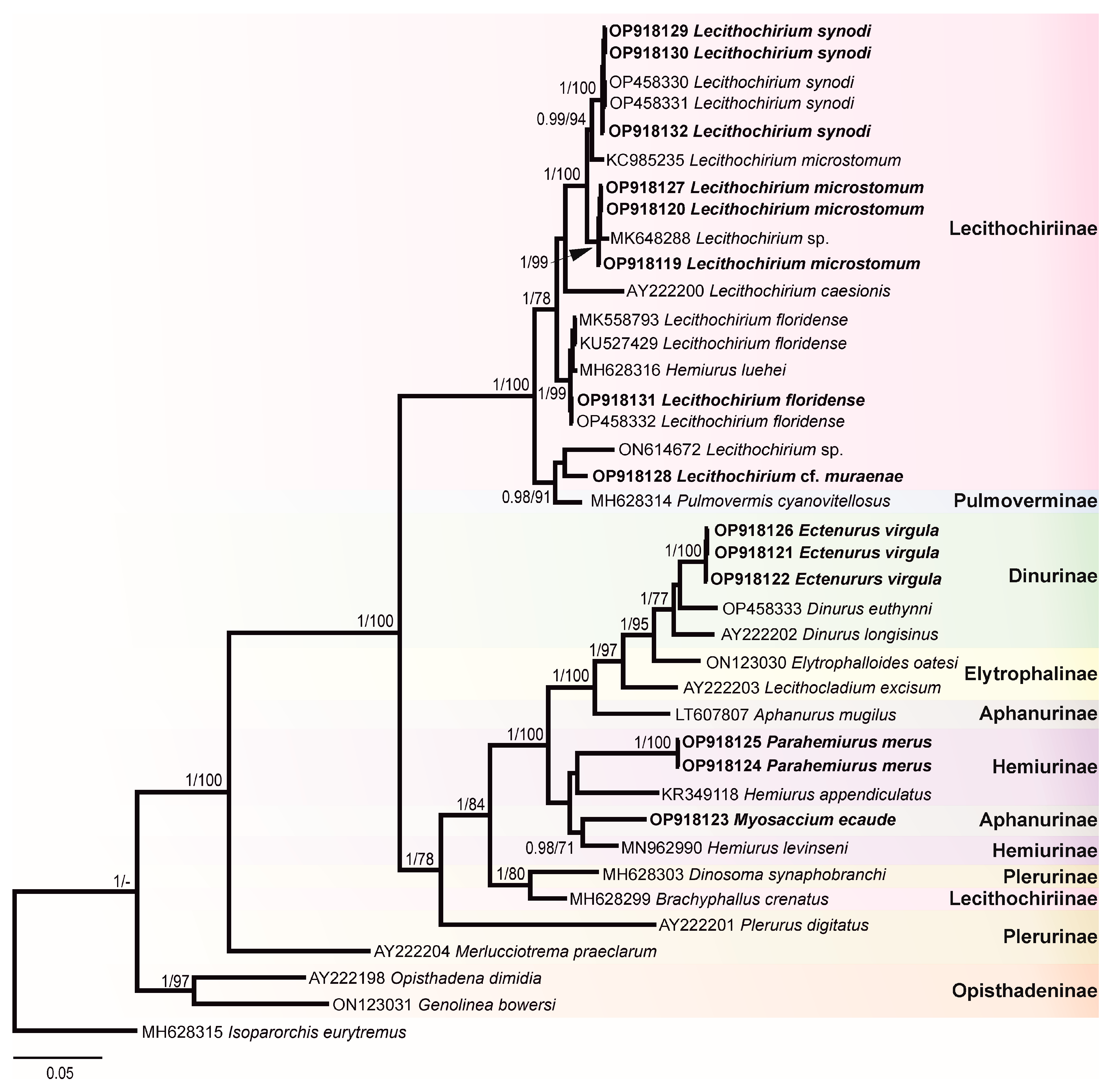 Animals 12 03355 g004 Animals 12 03355 g004
