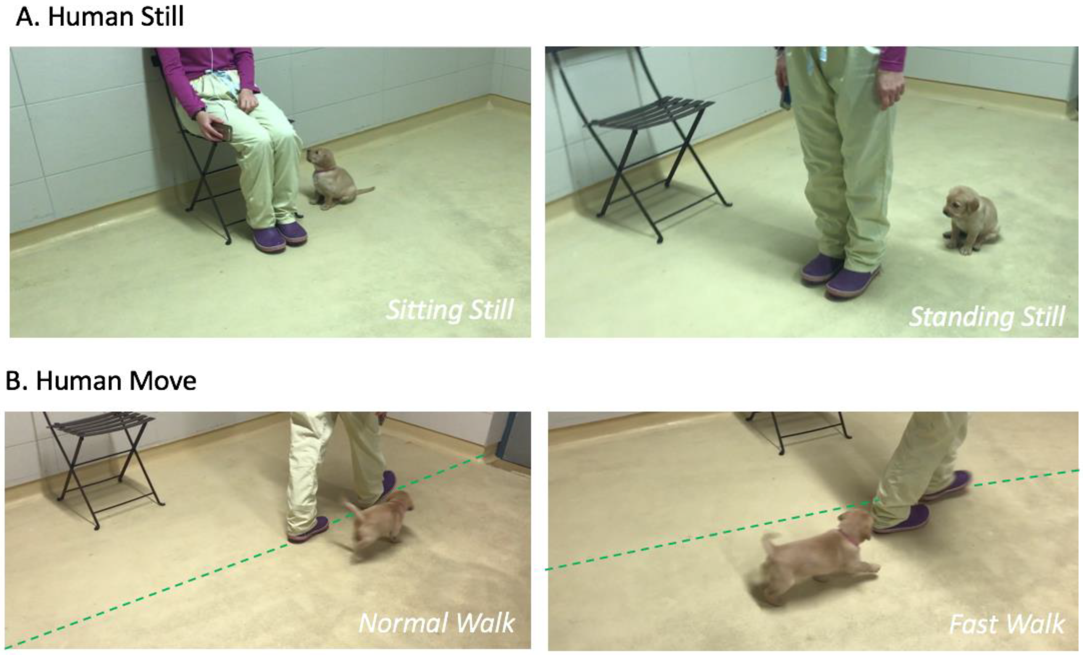 Animals 12 03356 g002 Animals 12 03356 g002